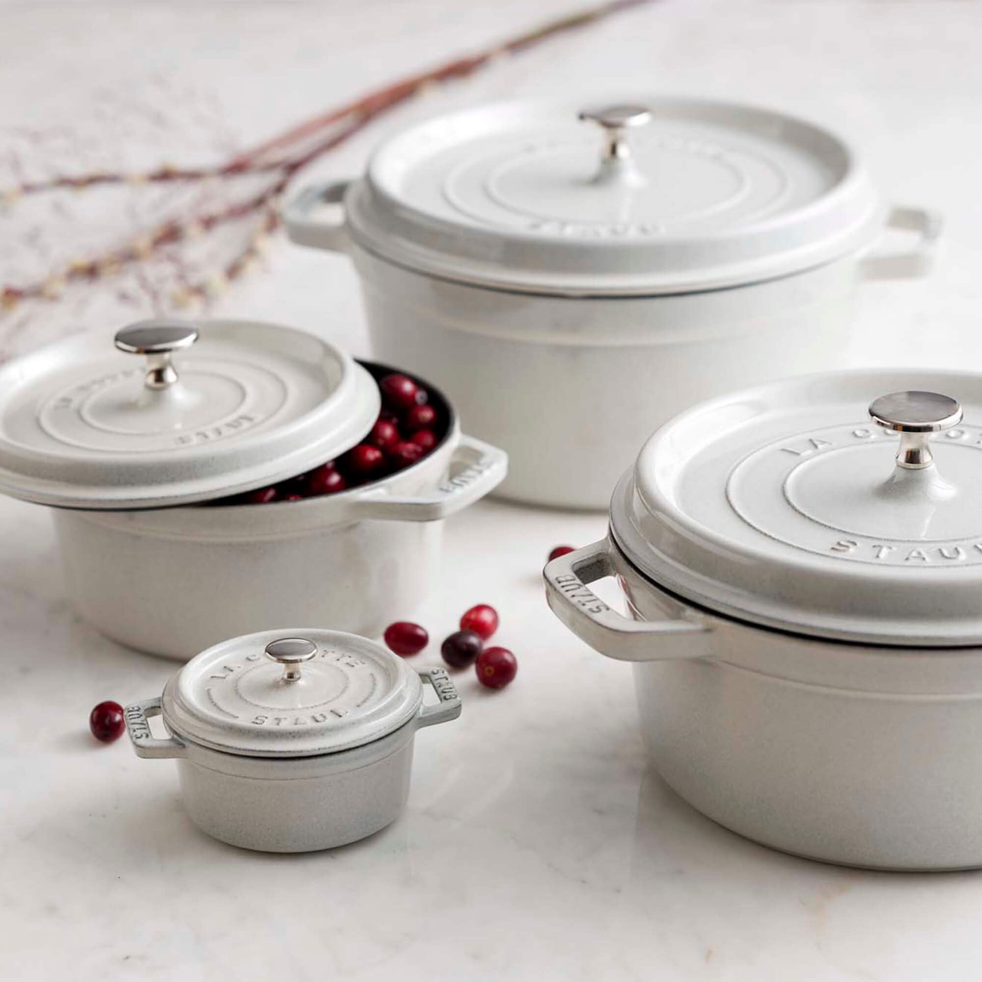 Amazon.com: Staub Cast Iron .25-qt Mini Round Cocotte - White
