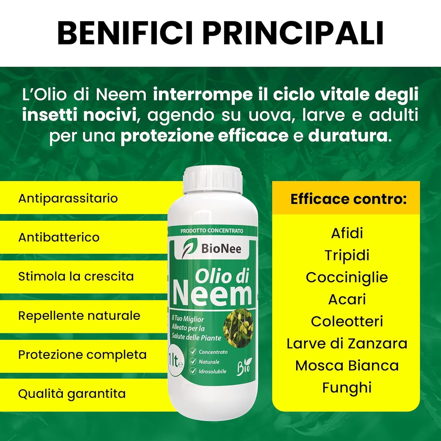 Olio di Neem insetticida naturale concentrato biologico solubile in acqua 1 litro