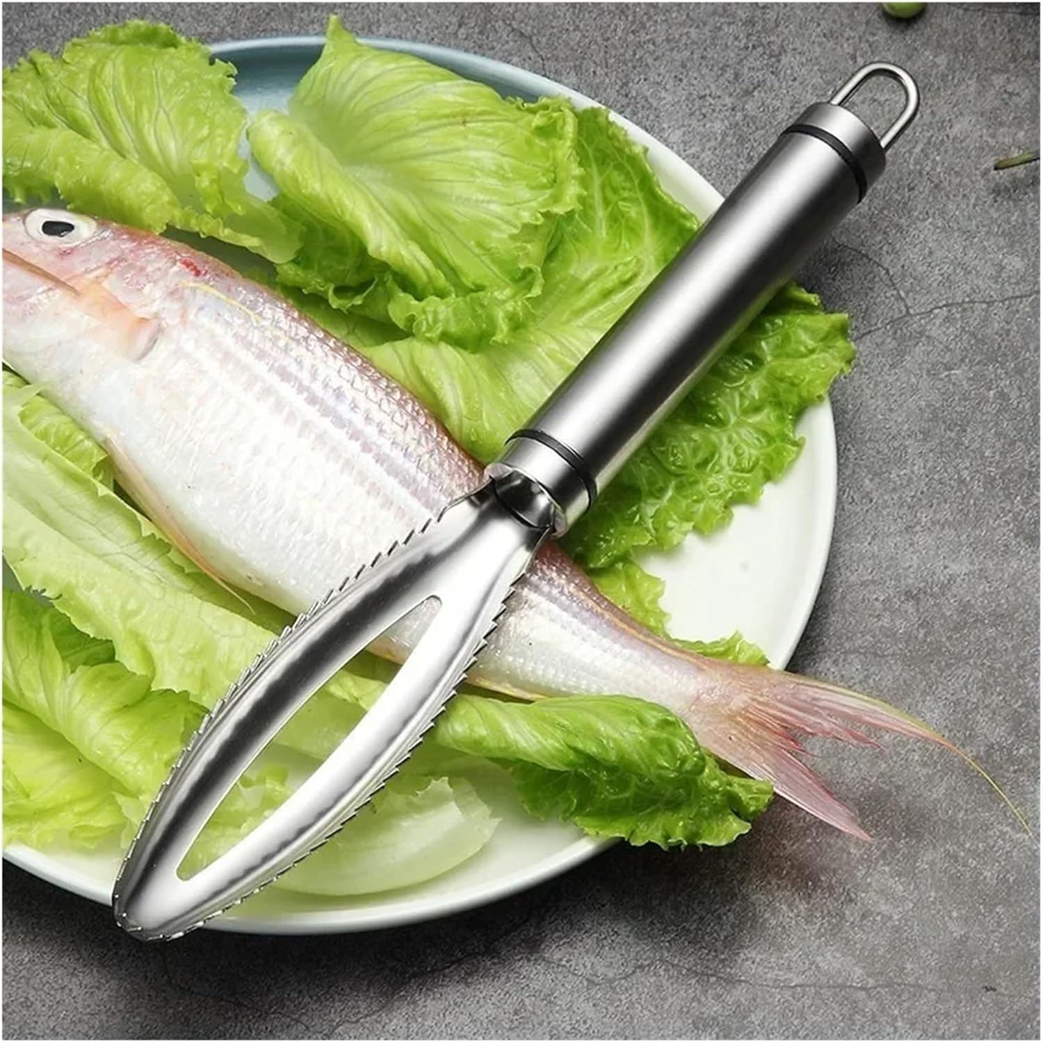 Stainless Steel Fish Scale Scraper - Fast Cleaning Grater & Peeler Tool for Kitchen Use