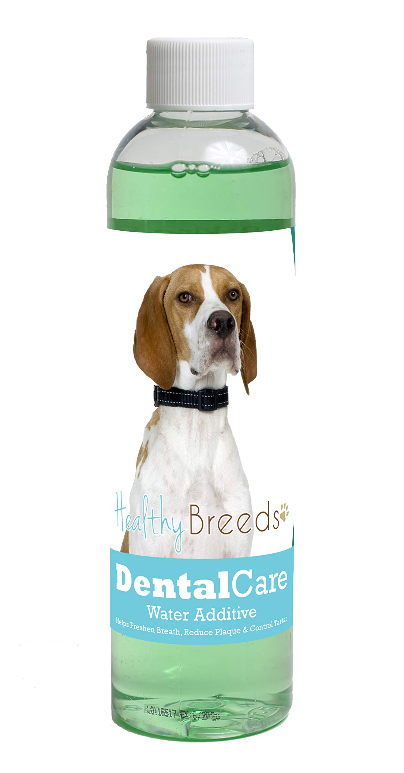 Healthy Breeds Dog Dental Care Water Additive for English Pointer - OVER 200 BREEDS - Helps Freshen Breath Reduce Plaque &amp; Control Tartar - Mint Flavor - 8 oz