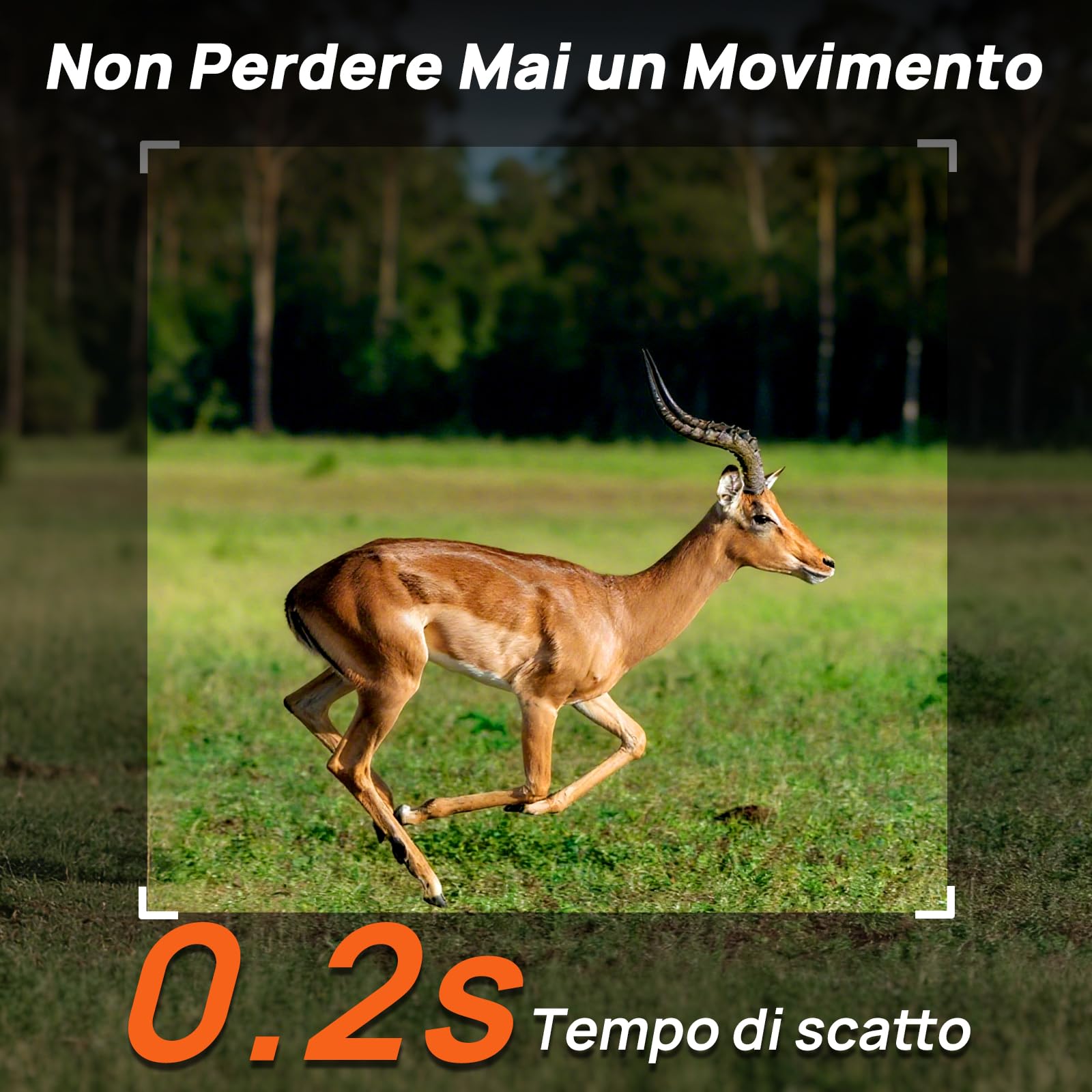 iZEEKER 2 in 1 Fototrappola Cloud 4G & Standard, 2K HD 48MP Fototrappola con Sim Visione Notturna Motion Attivato Senza Wi-Fi Controllo App Time Lapse Registrazione in loop Impermeabile IP66 per Fauna