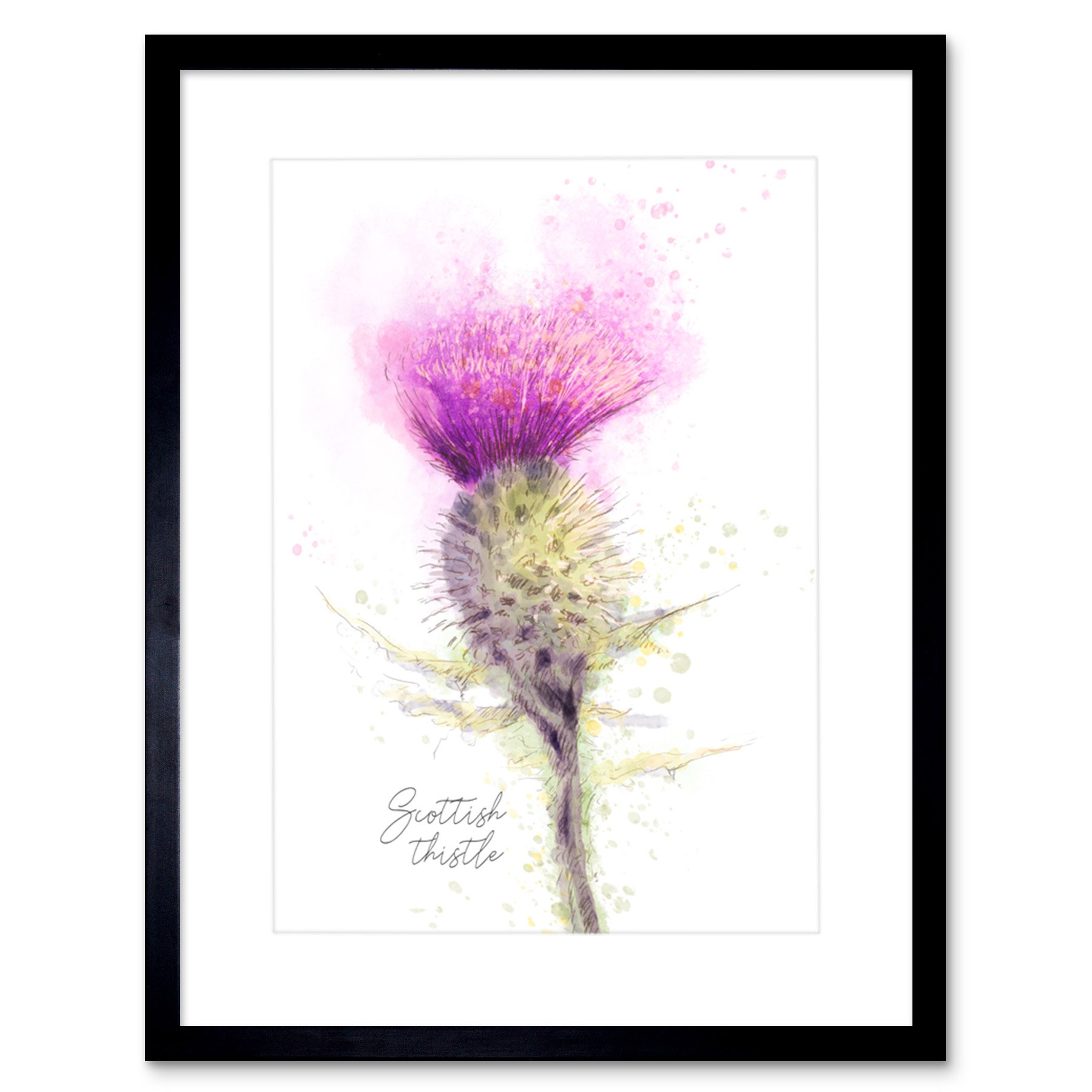 Artery8 Wall Art Print Scottish Thistle Flower Head Watercolour Scotland Framed 9X7 Inch from B&Q