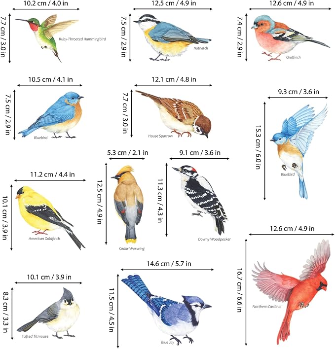 DECOWALL DS2-8042 Vinilos Pájaros Decorativos Removibles Adhesivos Pared miniatura 6