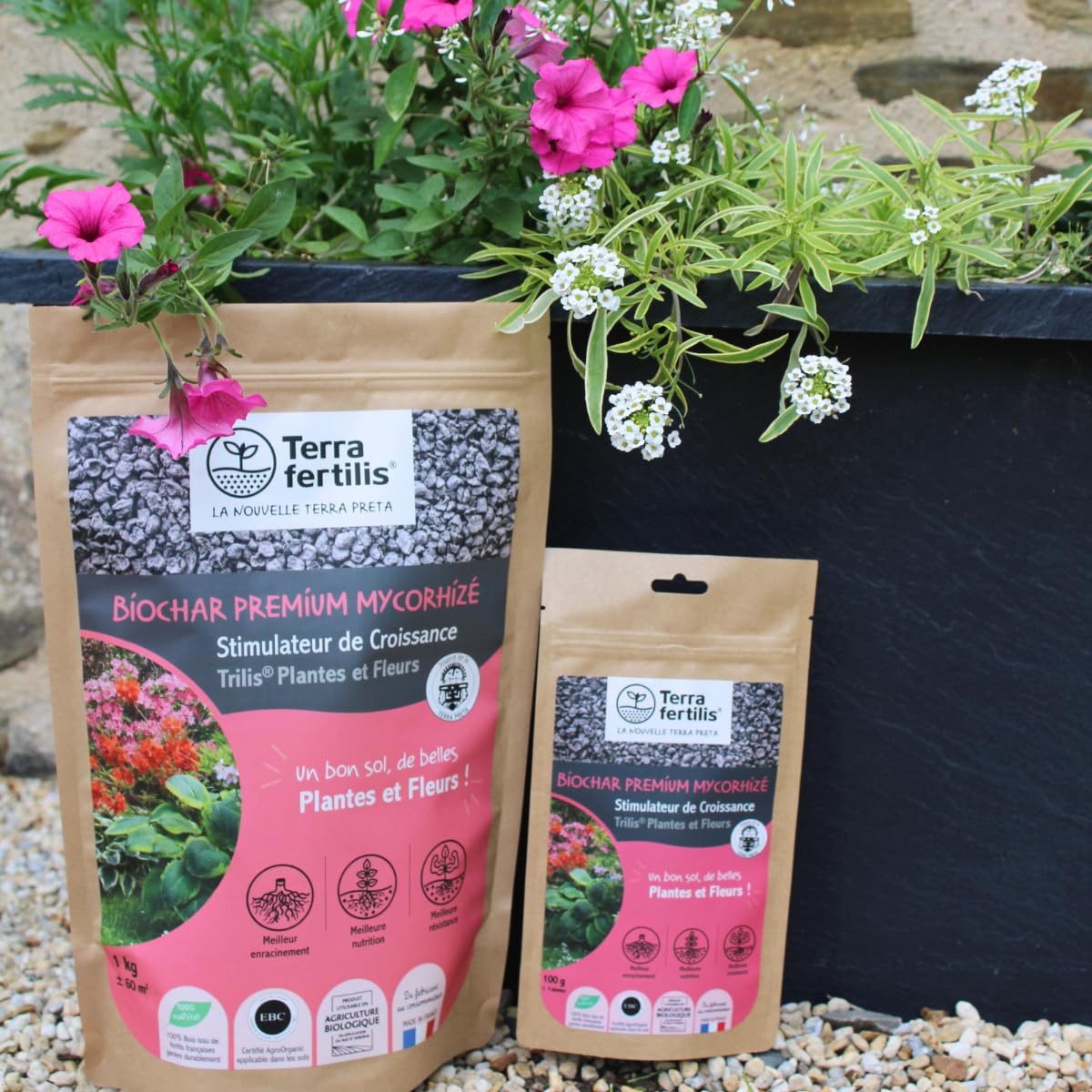 Terra Fertilis - Fertilisant Plantes spécial Plantes et Fleurs - à base de Biochar Mycorhizé - Stimule la floraison - Permet de réduire les arrosages et l'utilisation d'engrais (1kg)