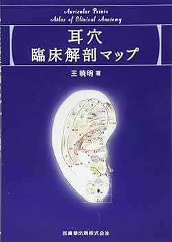 耳穴臨床解剖マップ
