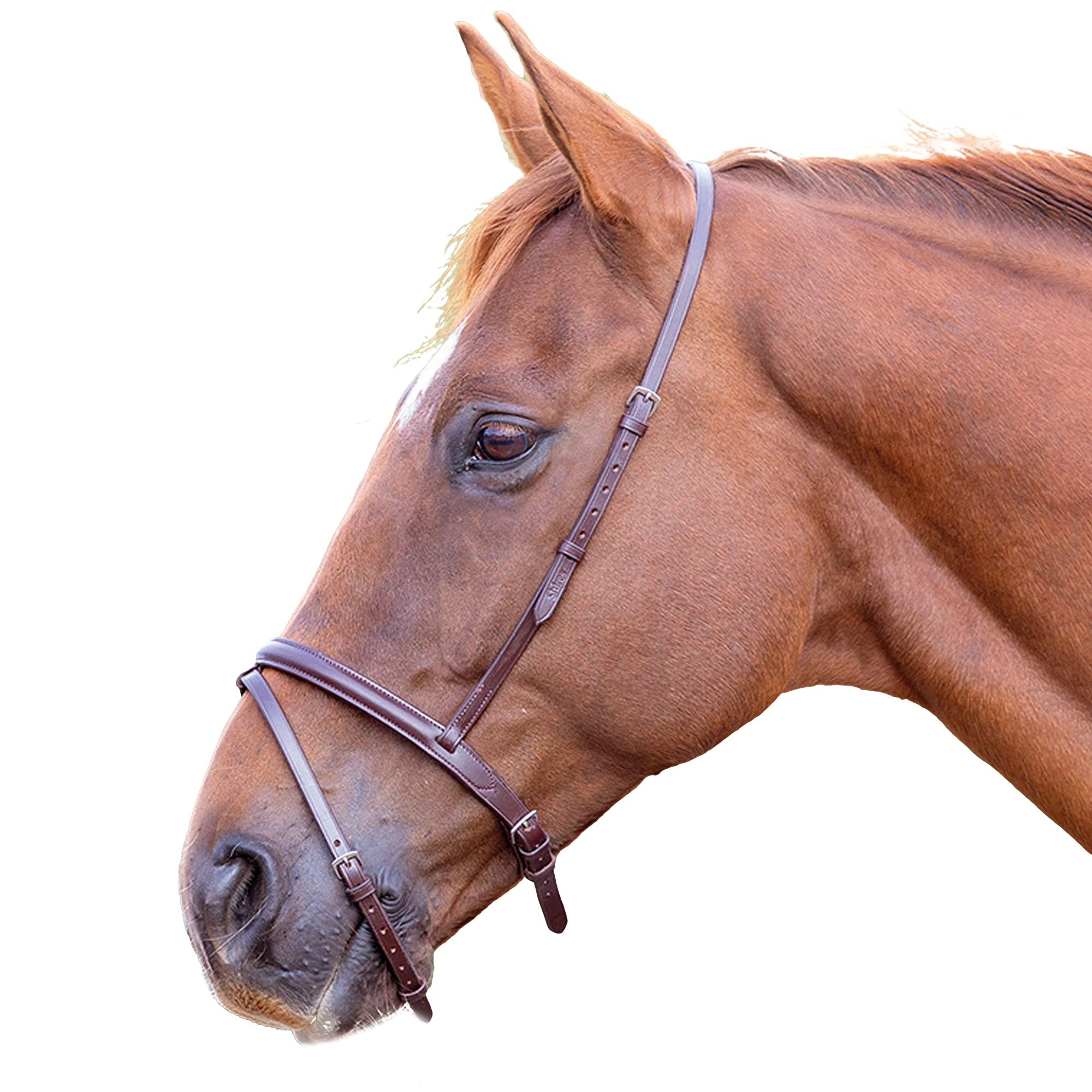 Bandeau Nez Flash Cheval En Cuir Anglais Havane - Taille Cob - Neuf