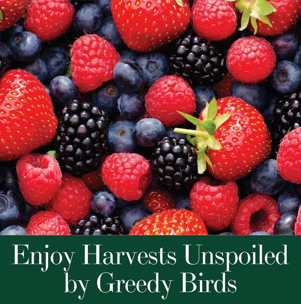 Dalen Bird X Protective Mesh Netting - Keep Birds and Pests Away from Your Garden – Non Toxic - Made in The USA - 14' x 14' : Garden Netting : Patio, Lawn & Garden
