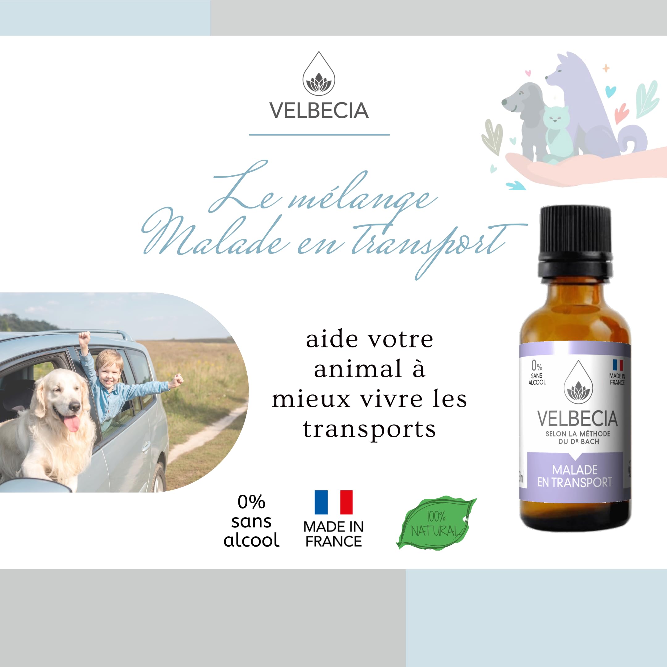Velbecia Animal Malade en voiture 50ml +1 OFFERT Elixirs de fleurs SANS ALCOOL - Méthode du Dr Bach - Voyager plus sereinement, transport paisible, apaisé, chat, chien