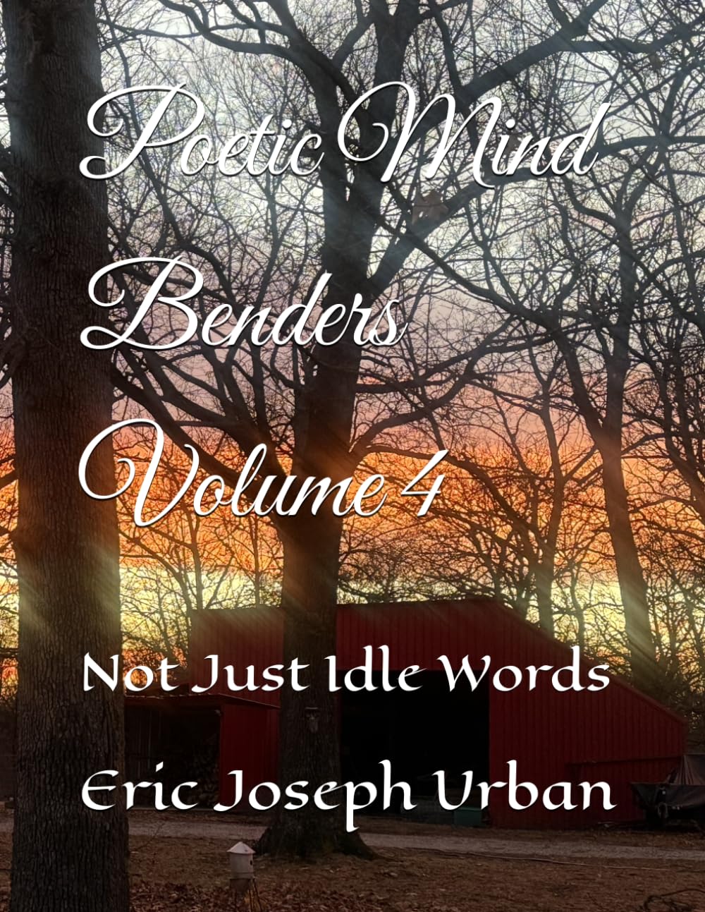 Poetic Mind Benders Volume 4: Not Just Idle Words
