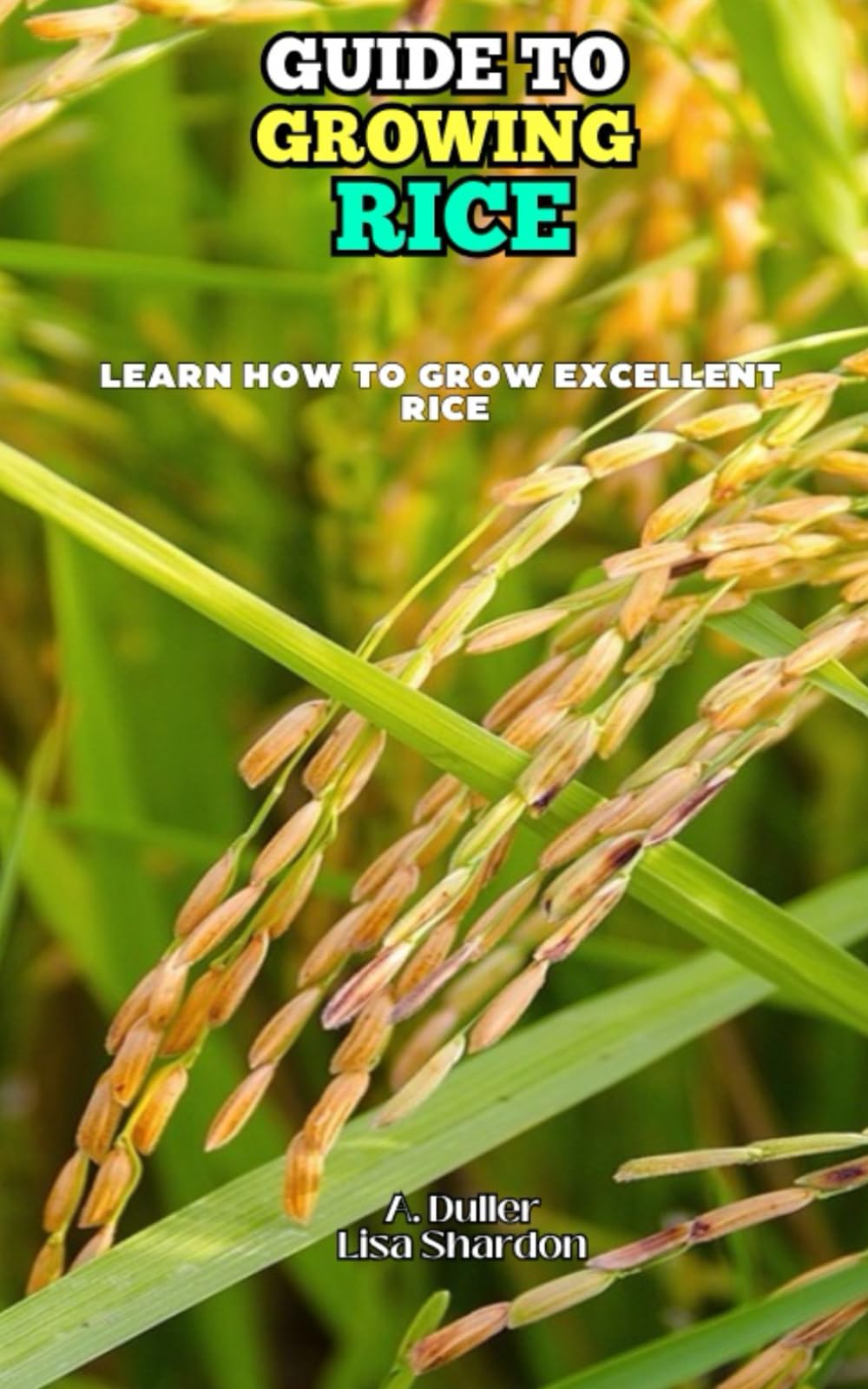 Guide to Growing Rice: Learn how to grow excellent Rice
