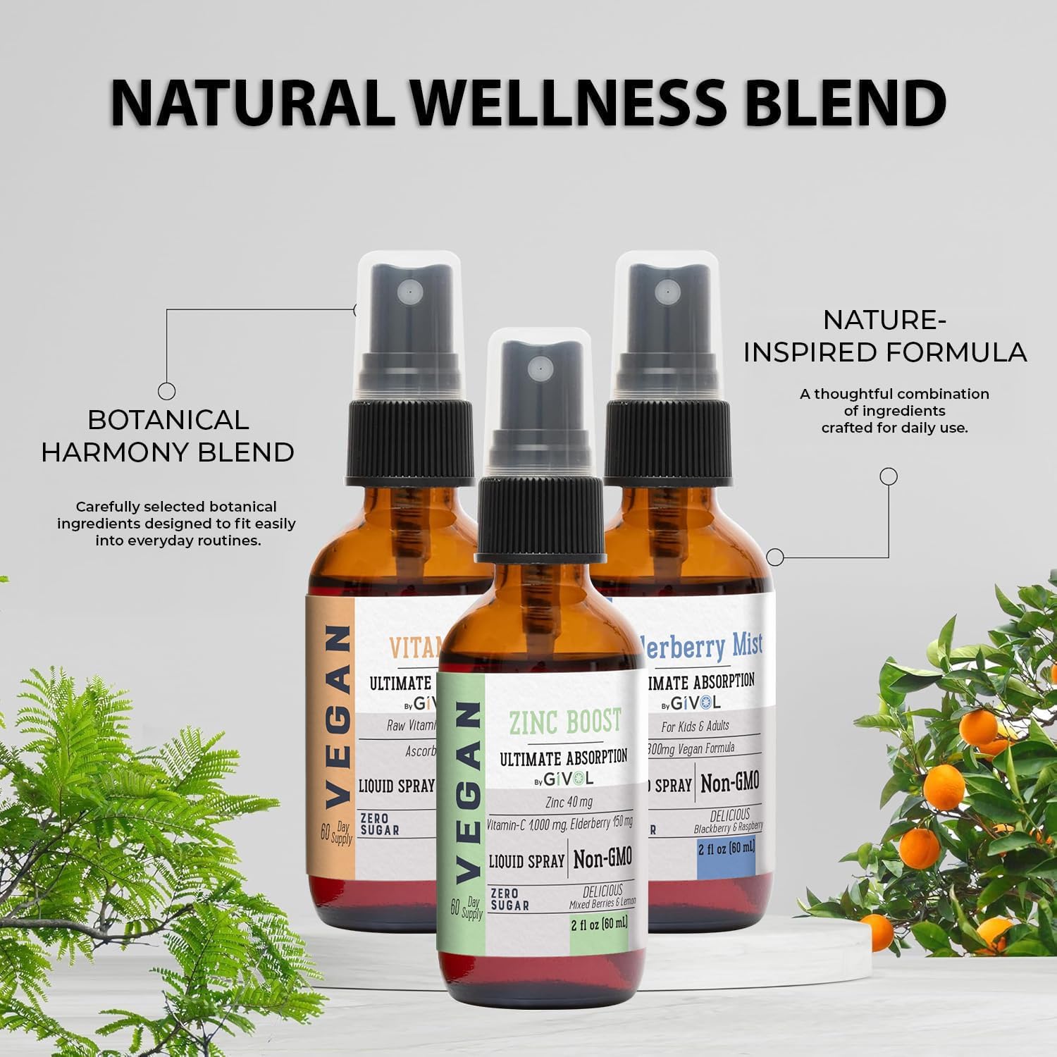 Liquid Vitamins (Pack of 3) Sambucus Nigra Elderberry Mist, Zinc Boost Mist and Vitamin C Mist - Non-GMO Gluten-Free - 240 Days Supply - Trio Bundle