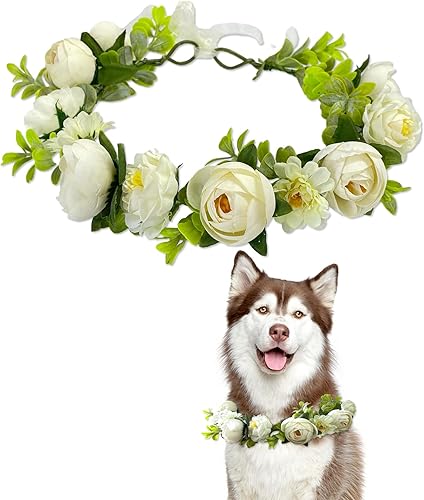 Elegante collar de boda para perro con hermosas flores, collar de boda para perro, traje de boda, collar de perro para collar de perro de flores, disponible en Yaxa Venezuela