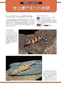 爬虫類飼育完全マニュアルvol.6 (SAKURA MOOK) | 笠倉出版社 |本