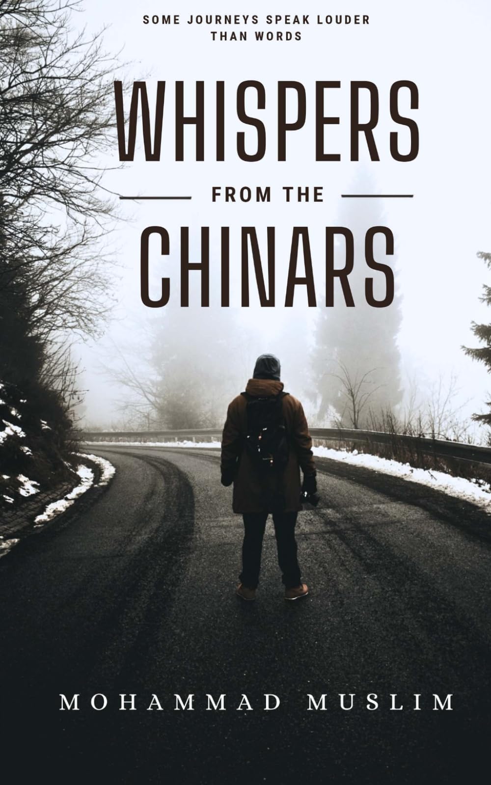 WHISPERS FROM THE CHINARS: SOME JOURNEYS SPEAK LOUDER THAN WORDS
