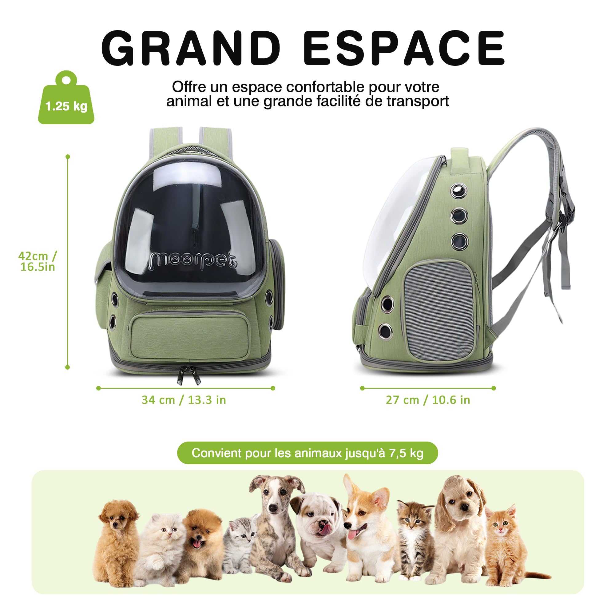 ALLSOPETS Sac à Dos pour Chat, Fenêtre Bulle Transparente, Vert Forêt | Sac de Transport Respirant avec Crochet de Sécurité, Confortable pour Chats et Petits Chiens jusqu’à 7,5 kg pour les Voyages