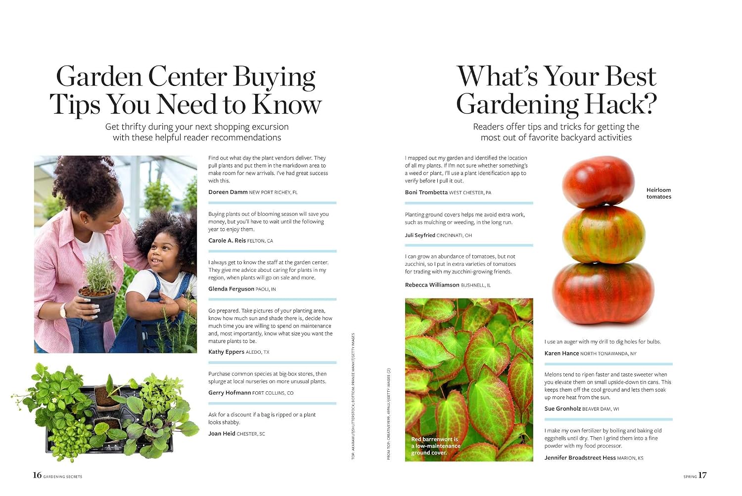 Birds & Blooms Gardening Secrets: All-Season Guide with Expert Tips and DIY Ideas for Thriving Gardens (Birds & Blooms Guide)