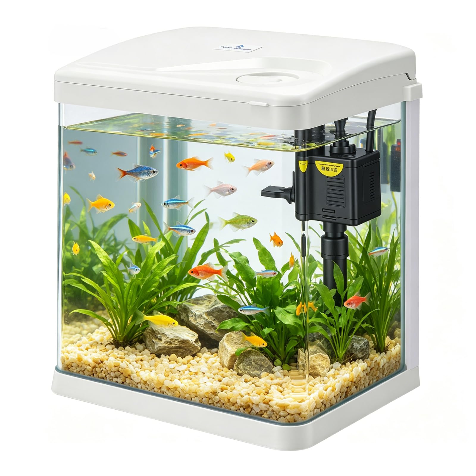 9L Fish Tank, Small Glass Aquarium Tank with Filter System, LED Lights, Water Pump, All-in-One Glass Fish Tank Kit for Goldfish, Mini Fish, Shrimps, Betta, Freshwater & Marine
