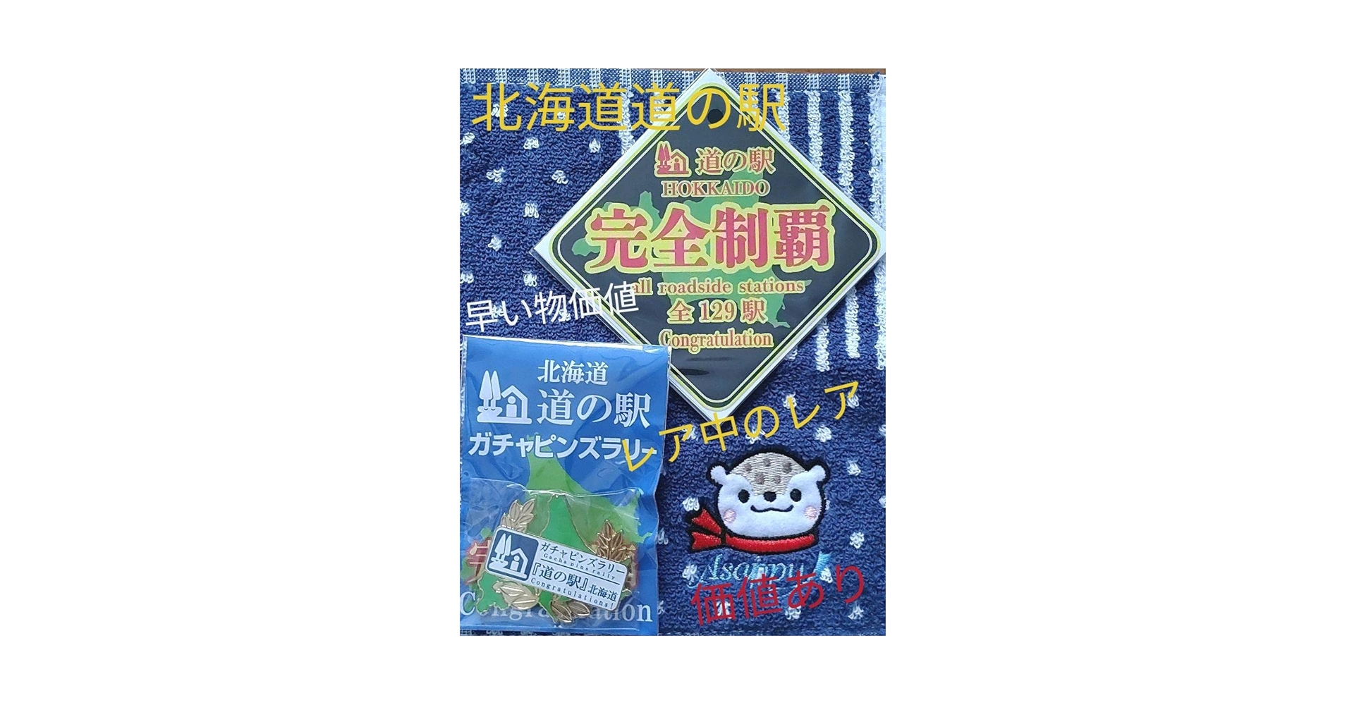 Amazon.co.jp: 北海道道の駅 ガチャピンズラリー 完全制覇ピンズ