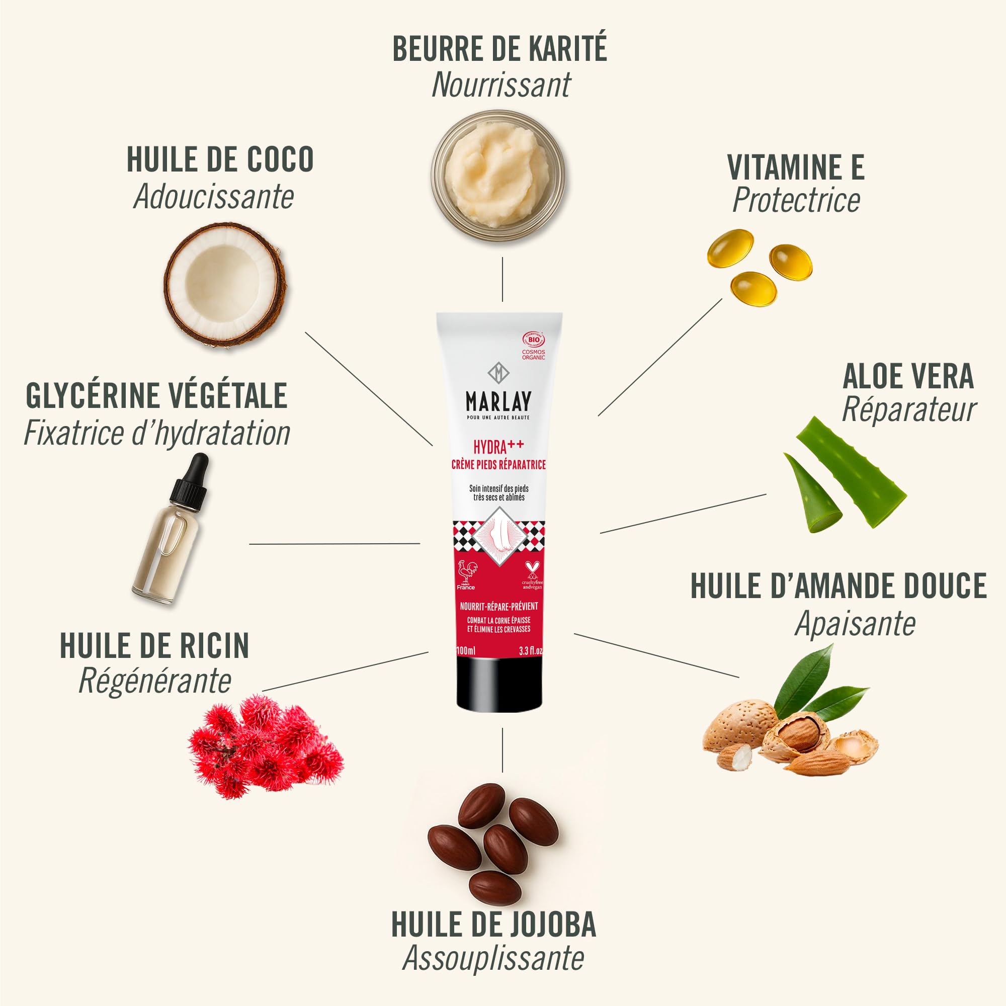 Marlay Kosmetyki - Bardzo suchy zestaw do pielęgnacji stóp bez opakowania - balsam do pielęgnacji skóry 250 ml i nawilżający krem do stóp ++ 100 ml - Organiczny glistnik - Skrobak i naturalna bawełna