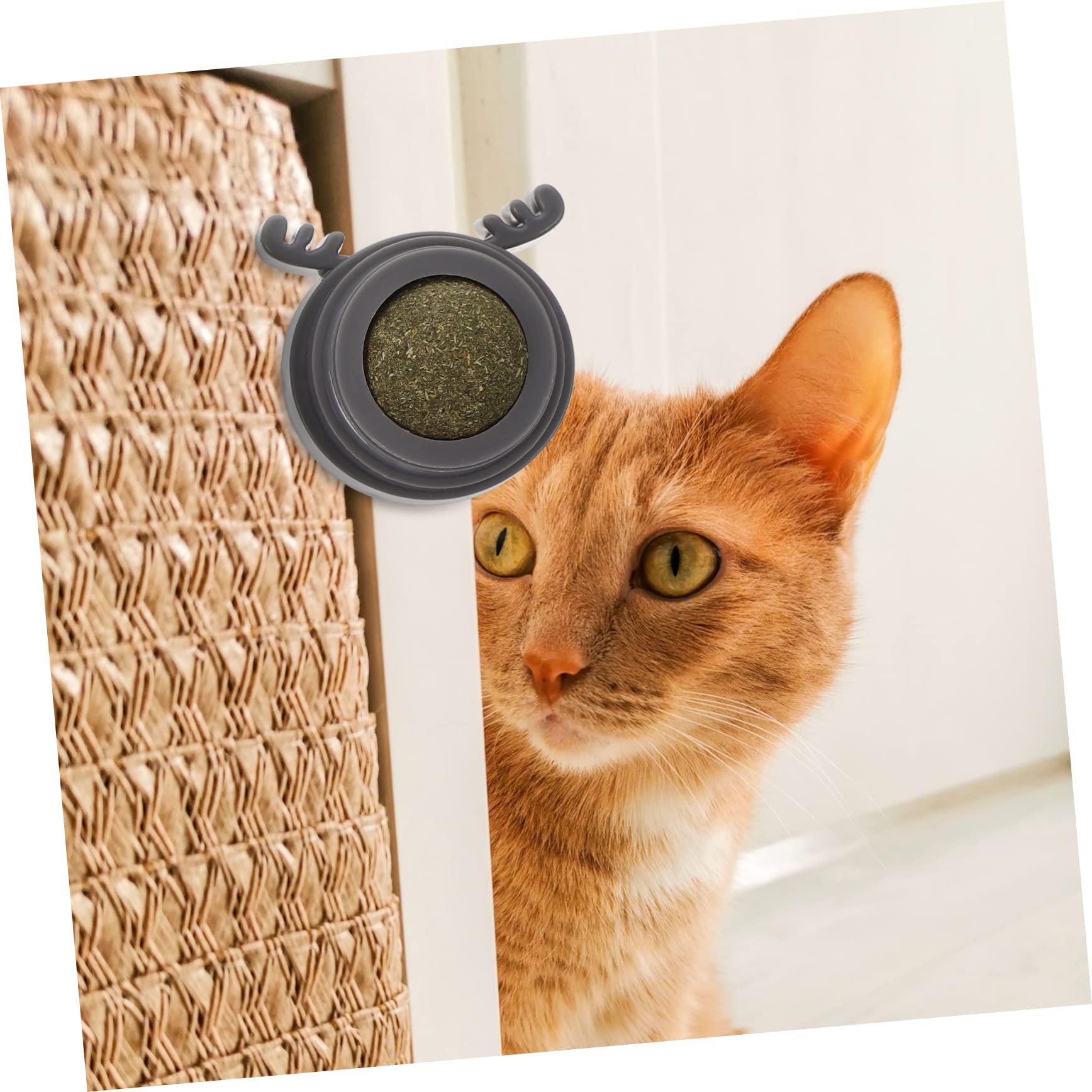 Happyyami 9stücke Katzenminze Ball Mit Tierkopf-Design Multifunktionales Spielzeug Zur Zahnpflege Und Verdauungsförderung Für Katzen Sicher Chemische Zusätze