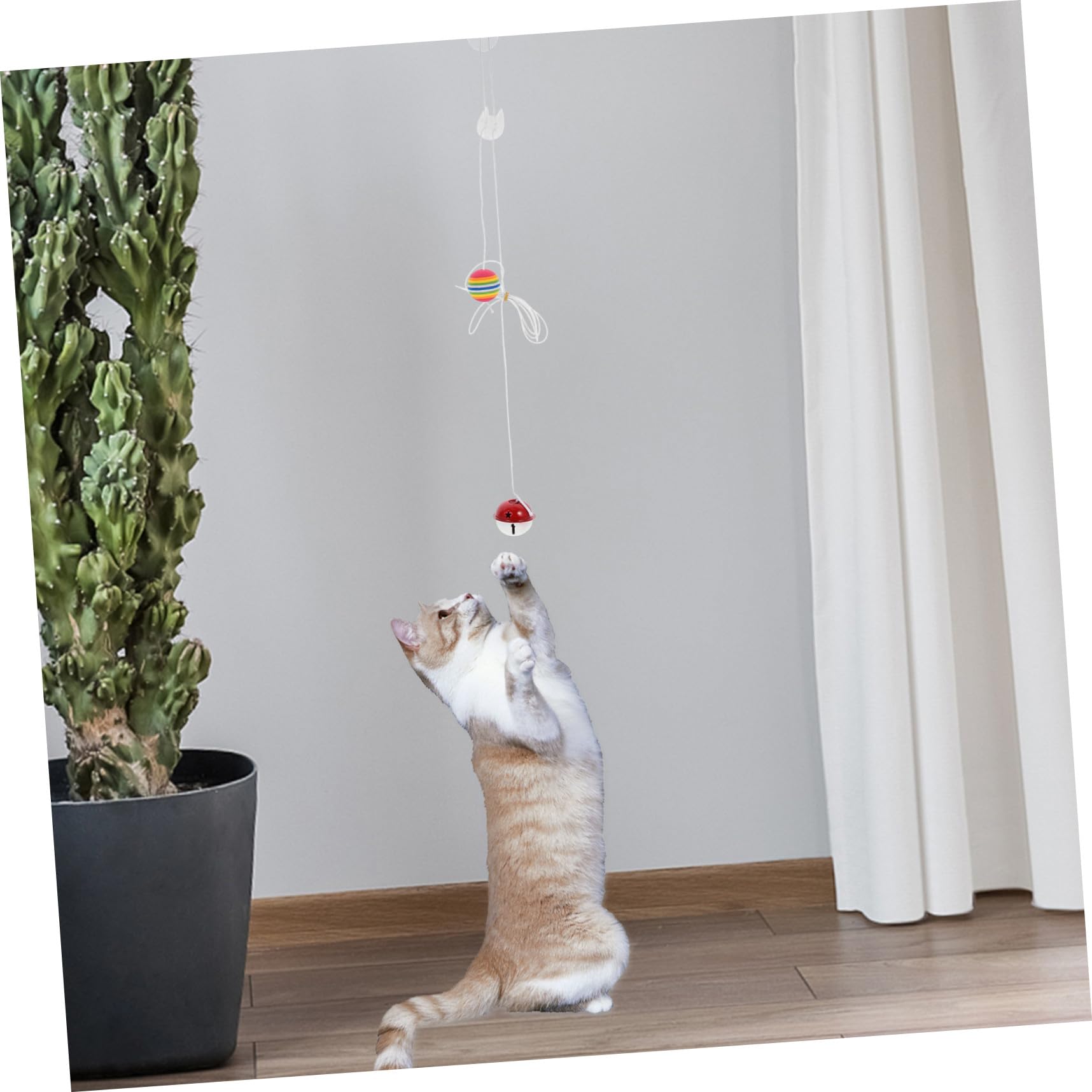 minkissy 10 Sets Katzenspielzeug Interaktives Katzenspielzeug Hängeseil Lustiges und Interessantes Katzenspielzeug für Hauskatzen Sicher und