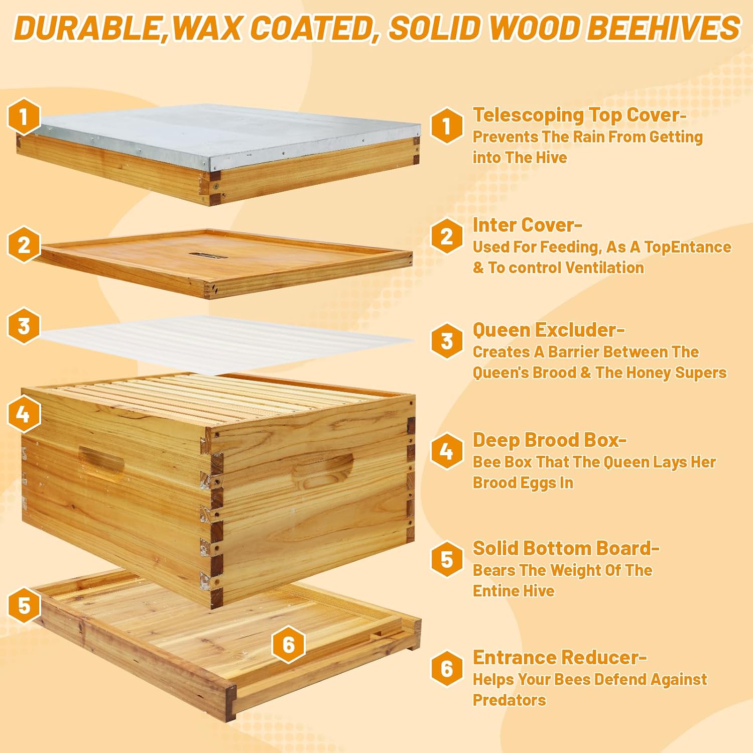 10-Frame Bee Hives and Supplies Starter Kit, Beehive Kit Dipped in 100% Beeswax, Bee Keeping Supplies-All Beginners Kit Includes Beekeeping Supplies Tool Set and Bee Suit