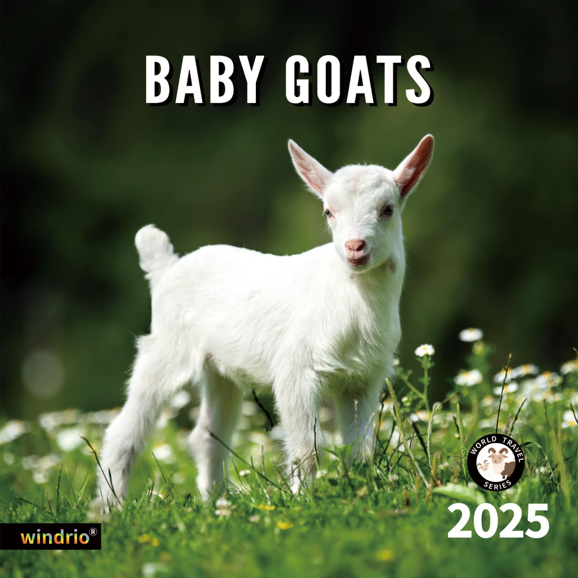 2024 2025 Wall Calendar, 18 Months July 2024 - December 2025, Wall Calendar Baby Goats, 12" x 24" Opened,Full Page Months Thick & Sturdy Paper for Gift Kids Teen Calendar Organizing & Planning