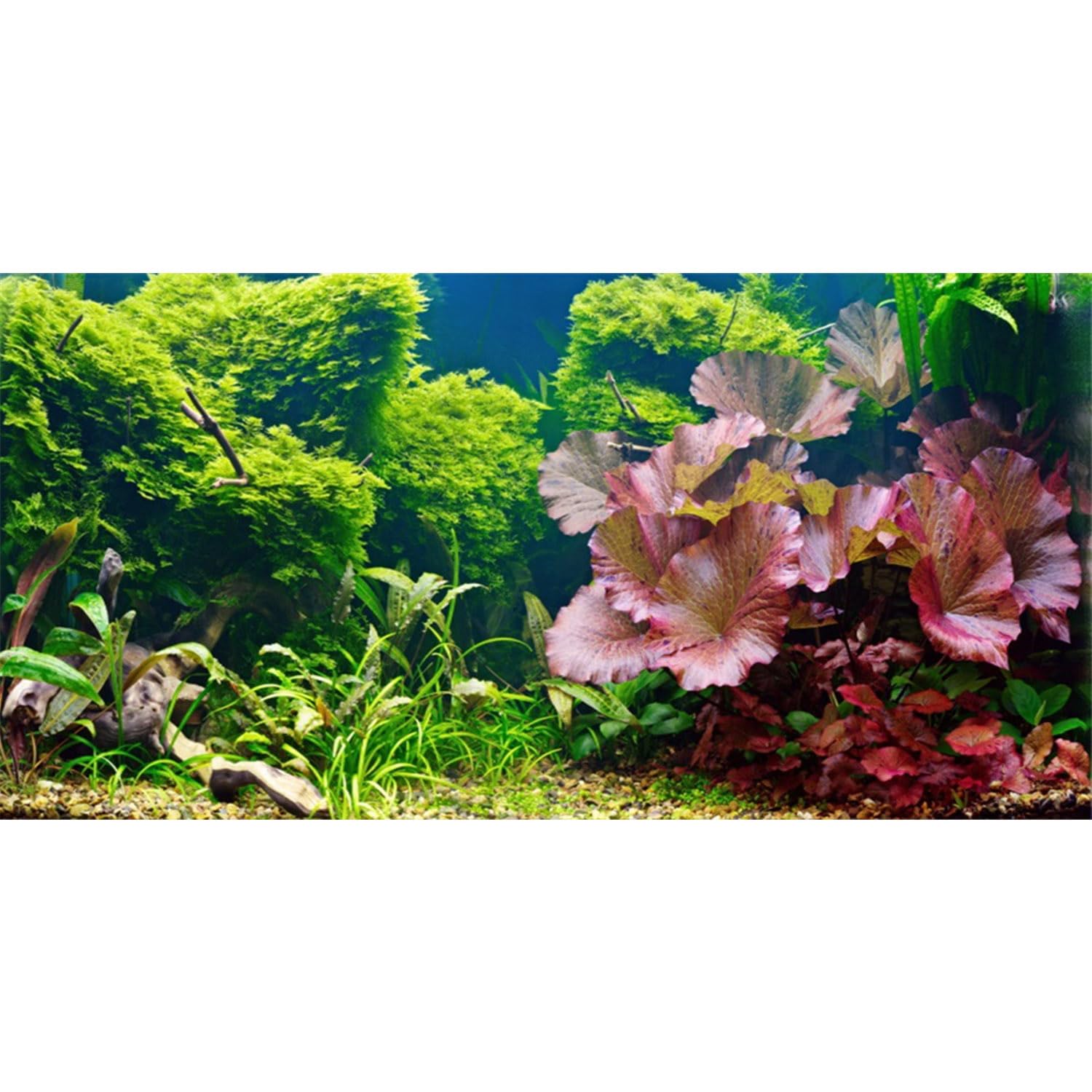 AWERT 30x18 inches Aquatic Plant Aquarium Background River Bed & Lake Fish Tank Background Vinyl