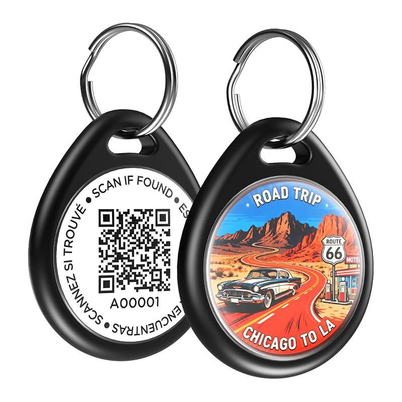 Plaquinha de identificação para cães com QR Code e perfil online editável ILFINDYOU, preta Route, Grande 3,05 x 3,56 cm