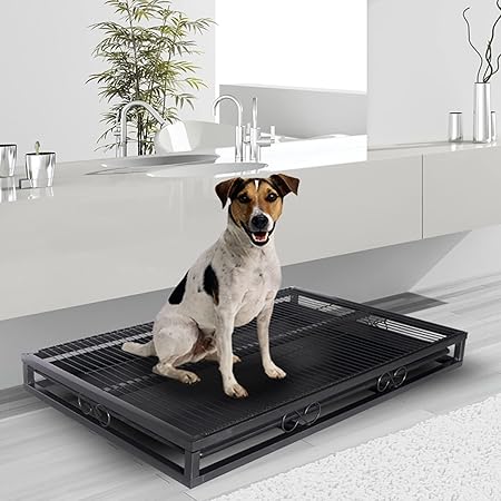 Amazon 犬 トイレトレー ワイド メッシュ 犬用トイレ レギュラー おしゃれ ステップトレー お手入れ簡単 いたずら防止 ドッグトレー 大型 グレー 65x49x5cm シャベルとコラムが付属しています Xinman トイレトレー 通販 Amazon 犬 トイレトレー ワイド メッシュ 犬用トイレ レギュラー おしゃれ ステップトレー お手入れ簡単 いたずら防止 ドッグトレー 大型 グレー 65x49x5cm シャベルとコラムが付属しています Xinman トイレトレー 通販
