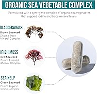 Vista 3 de Suplemento de yodo orgánico de complejo de vegetales marinos, forma de alimento integral y cruda - Complejo de yodo más minerales traza - Contiene