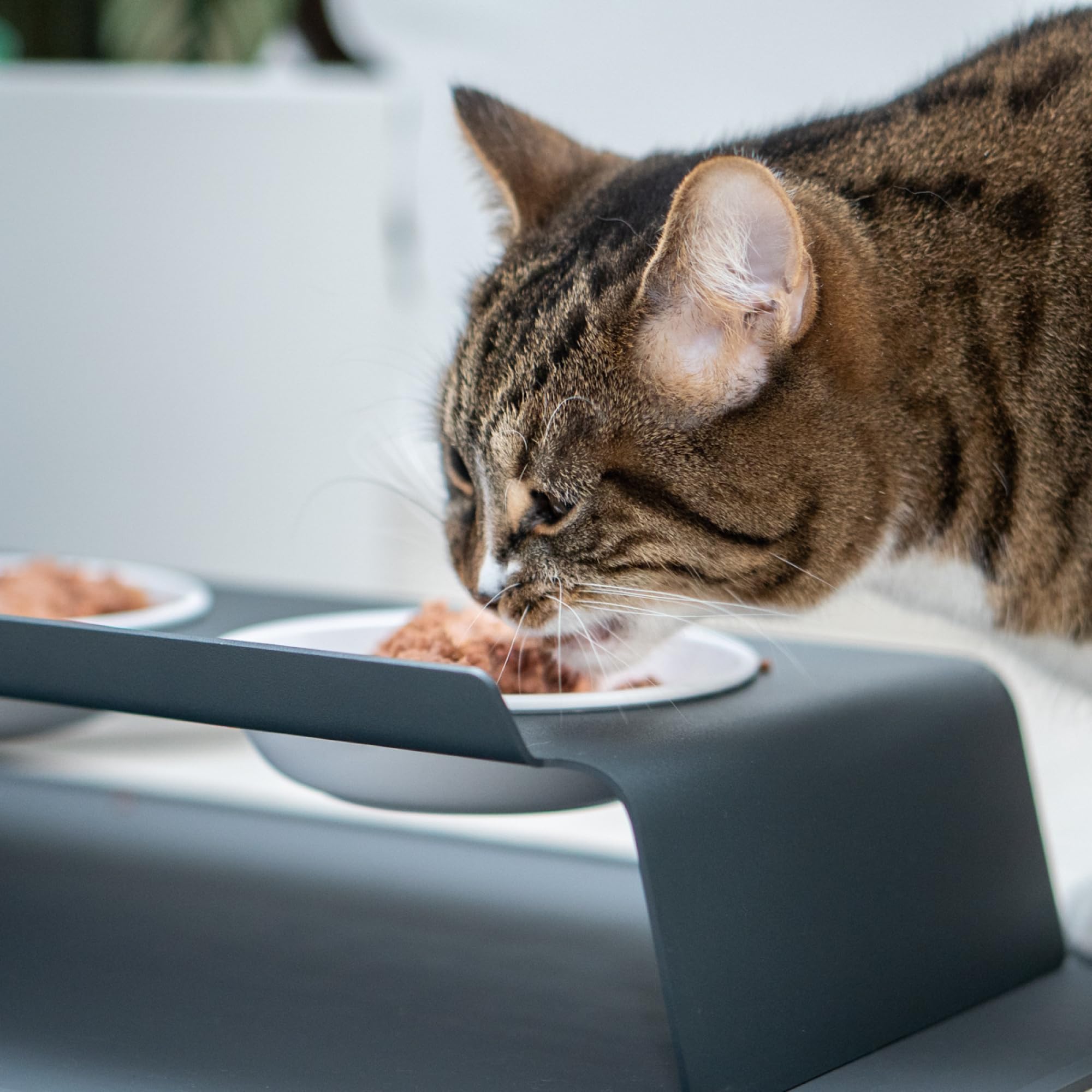 LucyBalu® Dine Doppia mangiatoia per gatti in metallo I Antracite