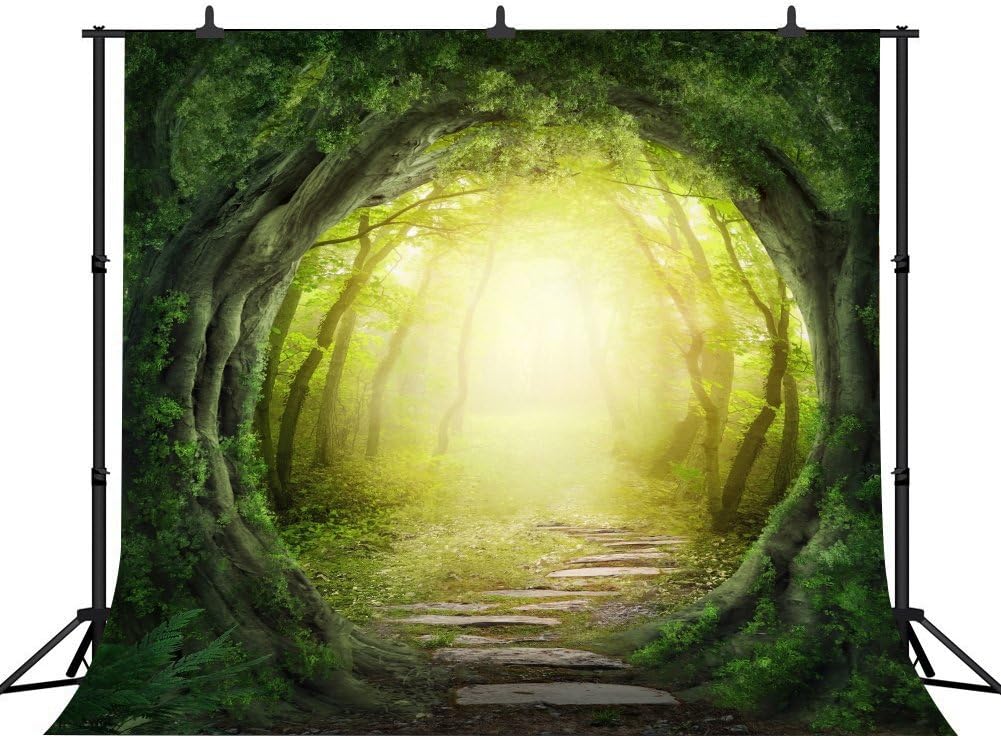 10x10ft Dreamy Magical Backdrop Dream Fantasy Forest Photography Video Studio Photo Backdrop Props FH121