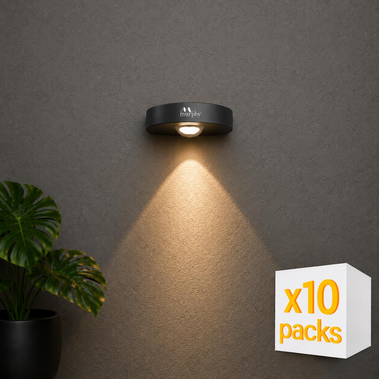 Murphy Areo 1-Way Waterproof LED Wall Light – Warm White, Aluminum Body, 2-Year Warranty, Indoor & Outdoor – Pack of 10