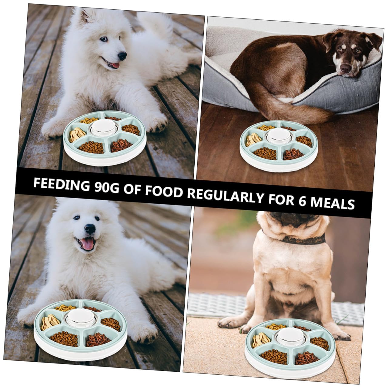 DOITOOL Comedero Automático para Perros con Temporizador, Seis Compartimentos ABS Antideslizante Comedero Mascotas