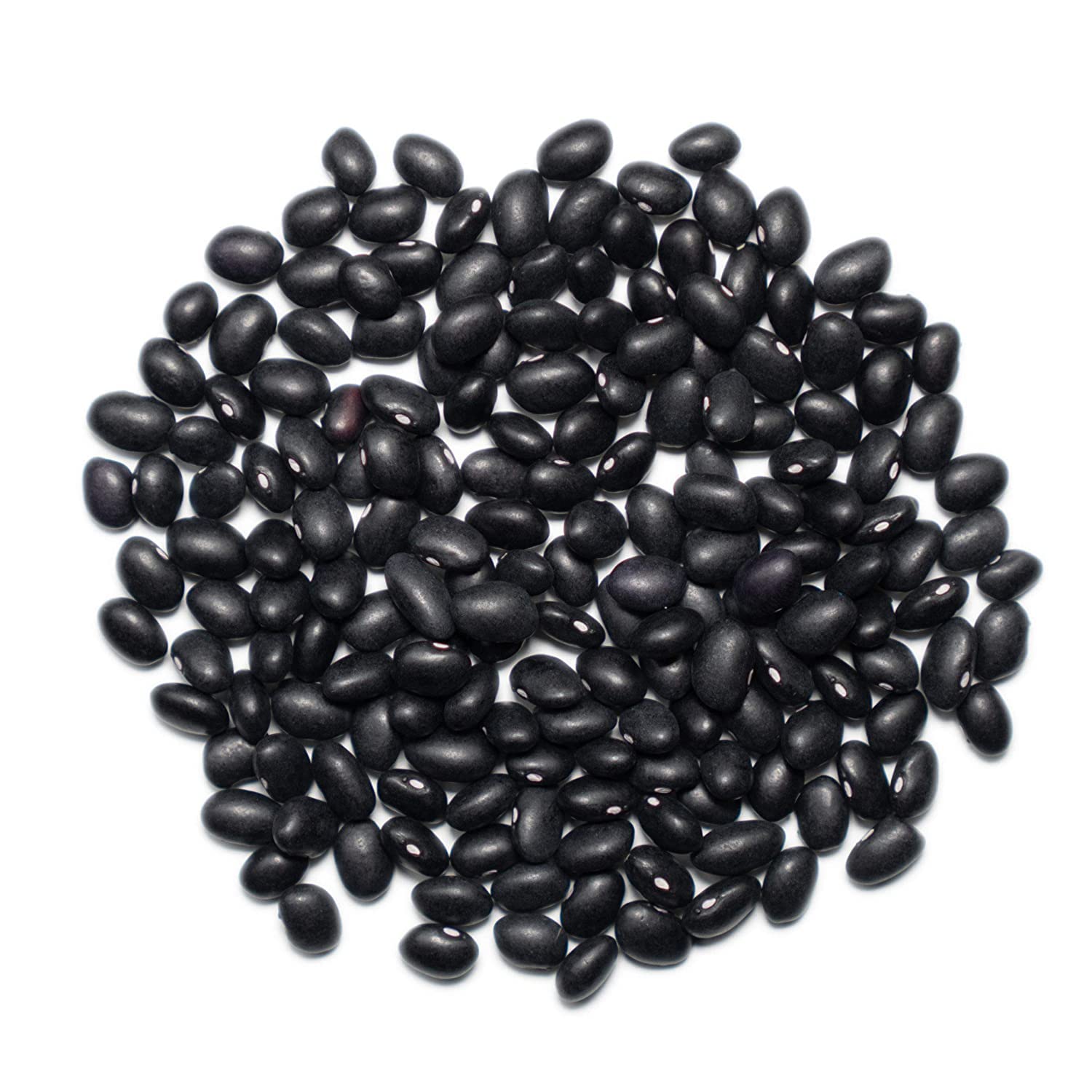 1000 SPRINGS MILL - 25lb Bulk Bucket Organic Black Beans - Used for Soups, Salads, Chili, Dips or Various Breakfast Dishes - Bulk Dry Black Beans - Vegan Friendly