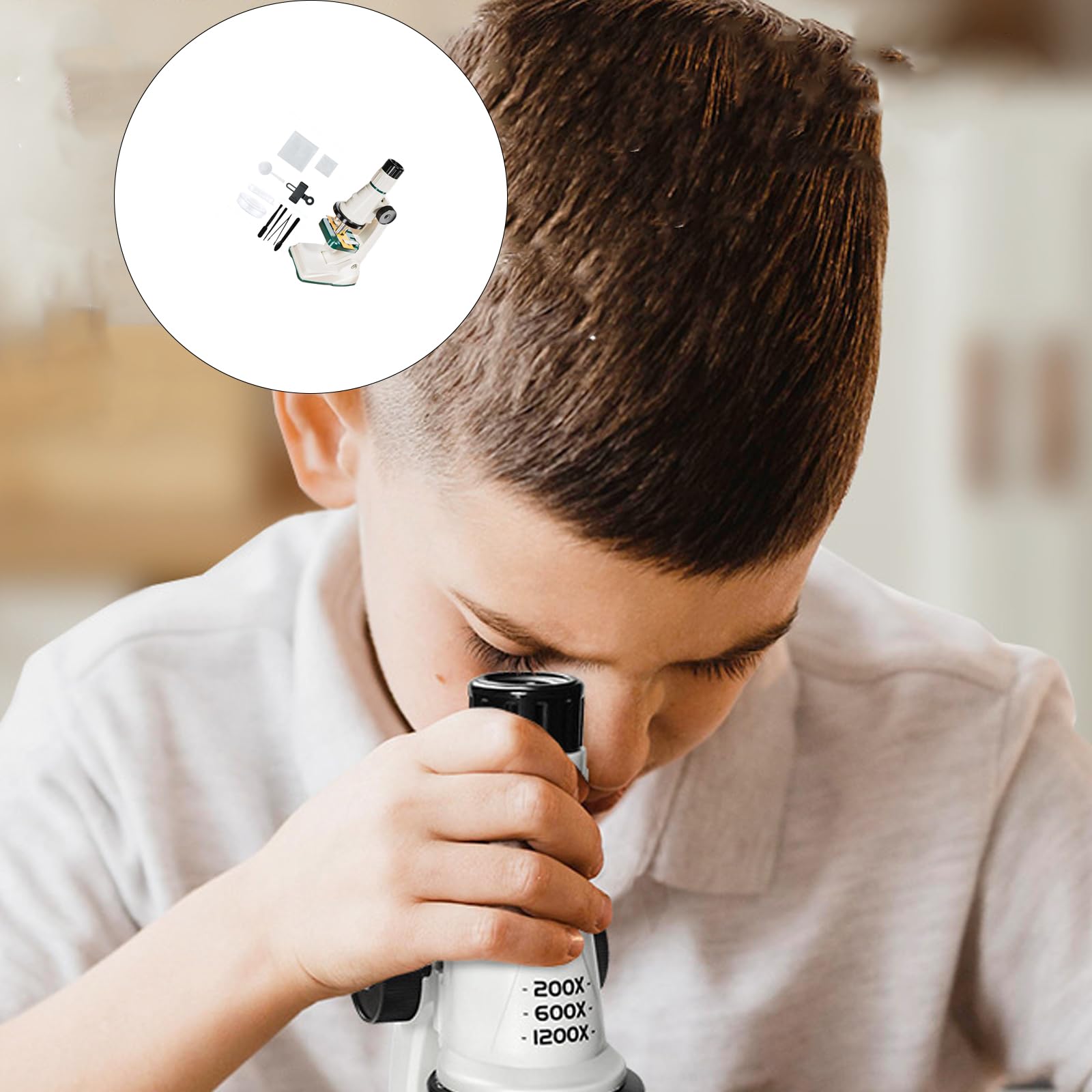 Set microscopio pratico per studenti scienziati migliora le capacità osservazione Regalo educativo sicuro Giocattolo per la scoperta scientifica dei bambini