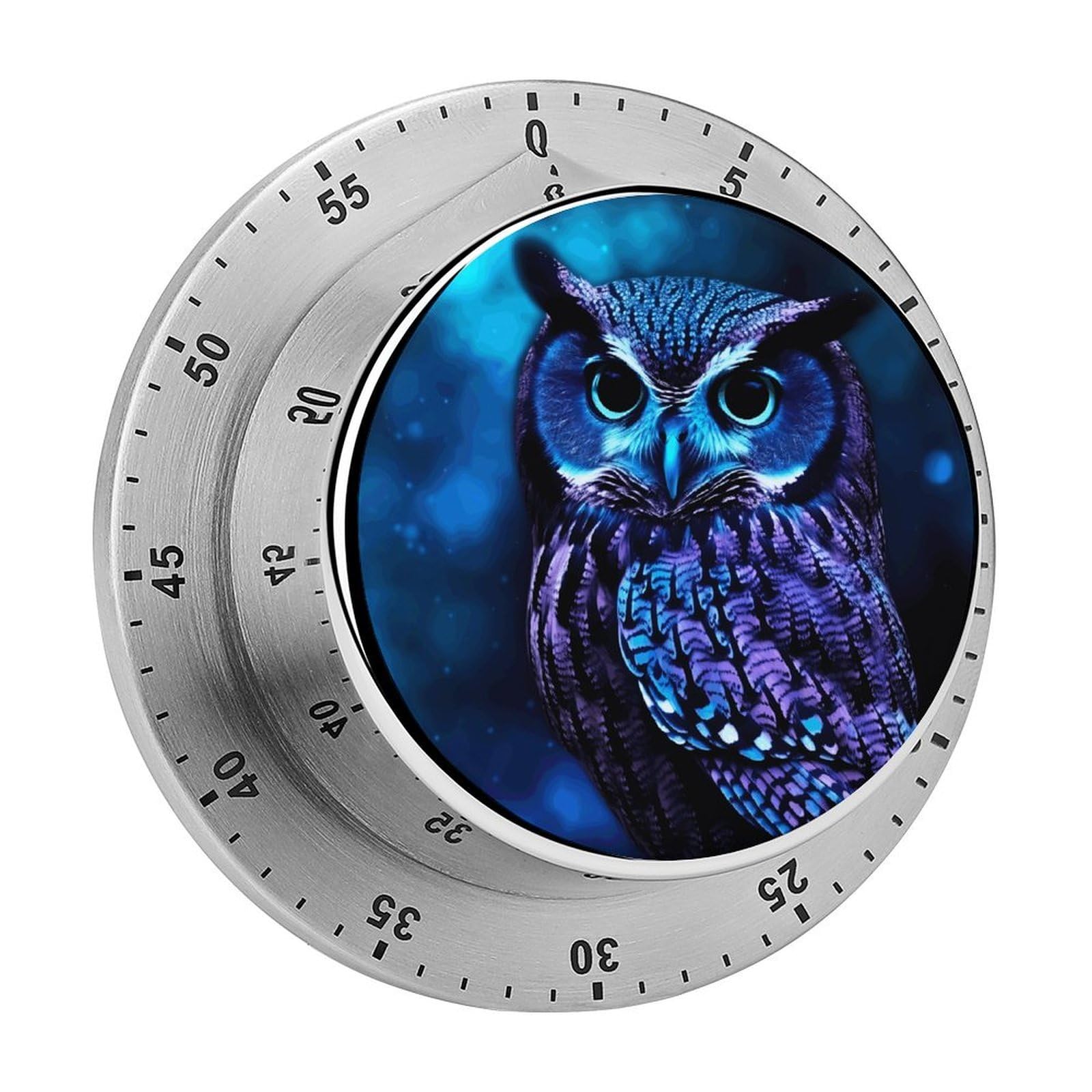 Blue Owl Timer Exquisite Stainless Steel Body Mechanical Desk Timers 60 Minutes Visual Countdown Timers with Magnetic Backing Loud Alarm Kitchen Timer for Cooking