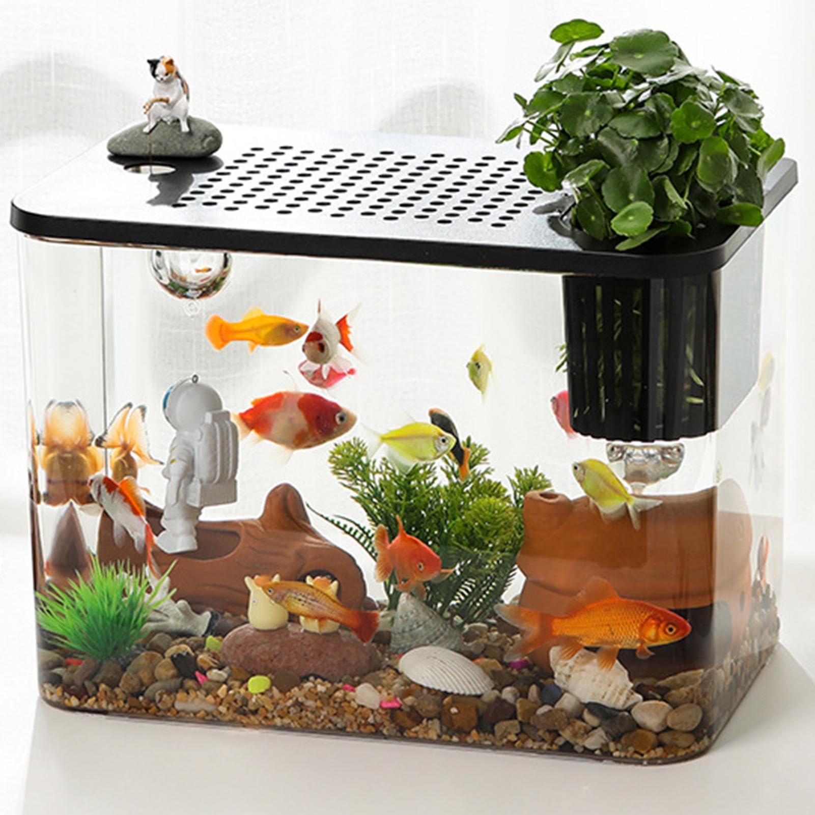 Aquarium Starter Set - Modernes Schreibtischaquarium Mit HD-Panorama Für Fische & Schildkröten