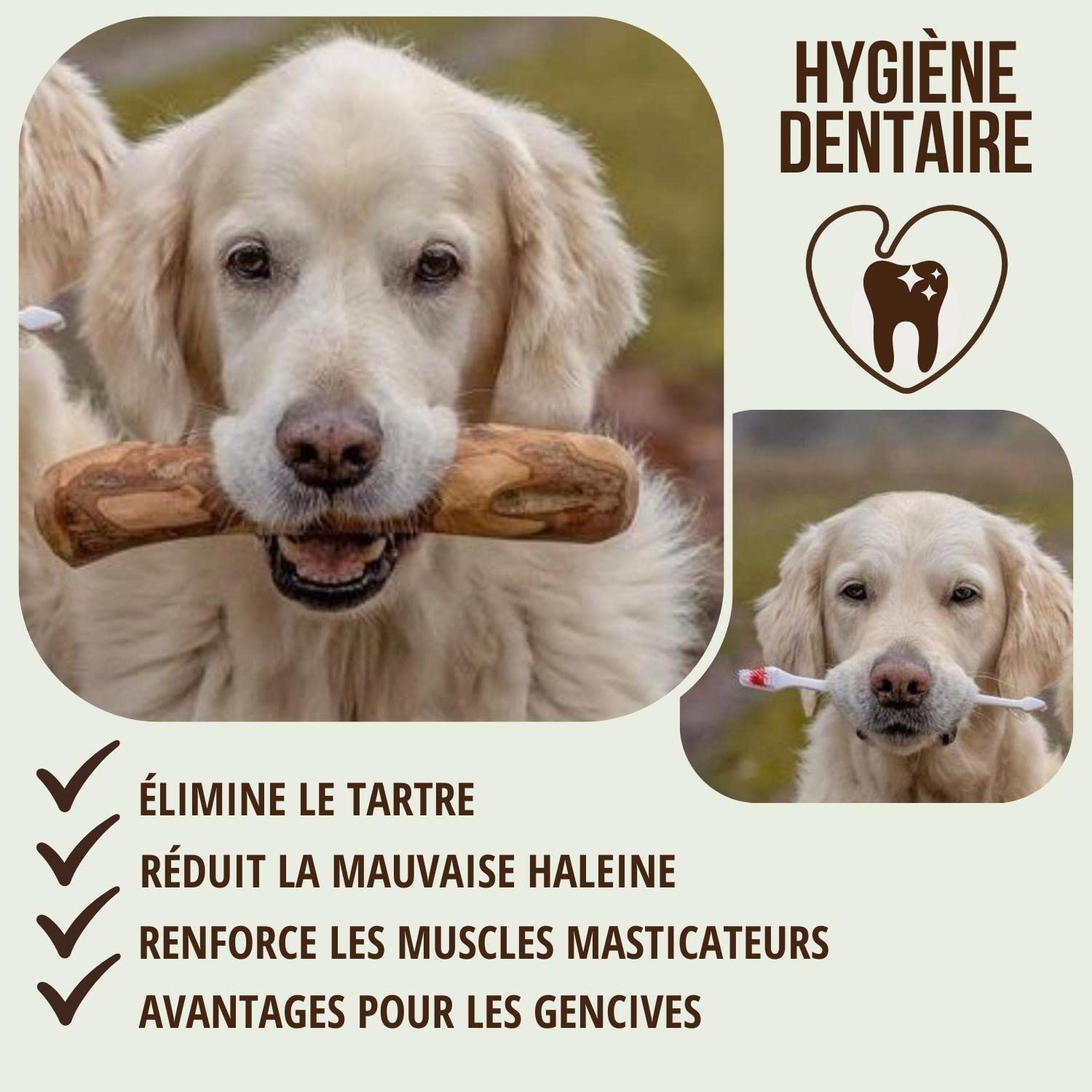 Jouet à Mâcher En Bois D'olivier Naturel Pour Chiens - Lot De 2 Taille XS 13cm - Bain D'huile D'olive - Hygiène Dentaire Et Anti-stress