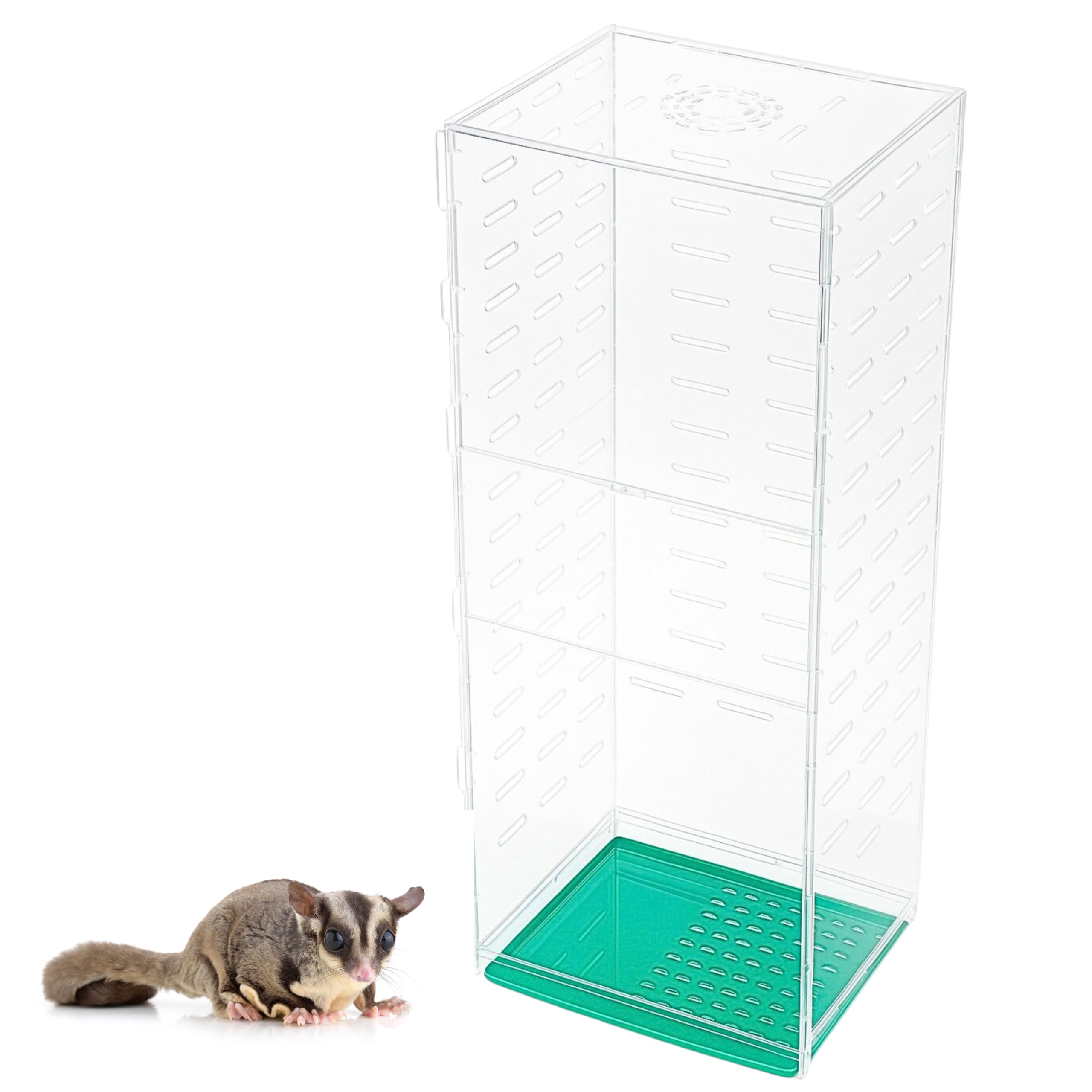 Amazon | HaNaRuNa アクリルケージ 360度 フクロモモンガ デグー