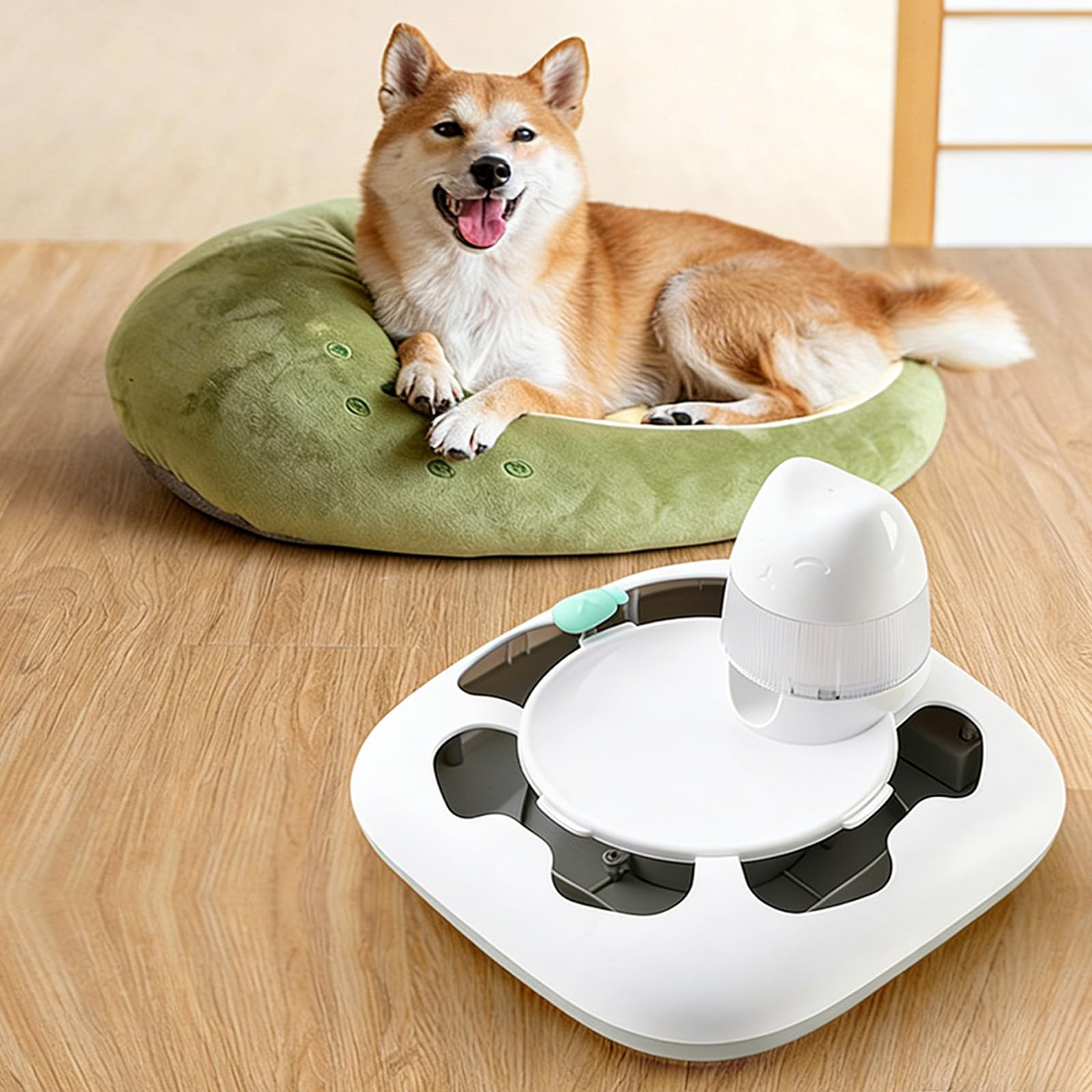 Interaktives Katzenspielzeug mit automatischen Aktionen und Leckerli-Spender für Indoor-Aktivitäten und geistige Aktivitäten