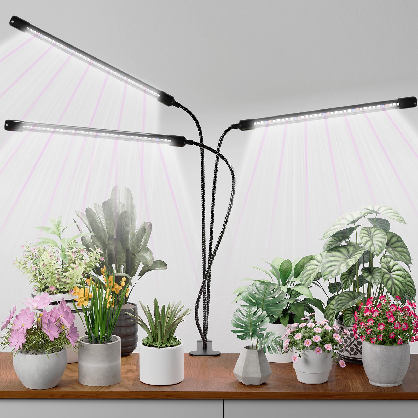 ブリム　PLANTS NEXTLIGHTLEDランプ 13個セット E26 Amazon.com : Super Bright Plant Grow Light Clip-on, 6000K Full