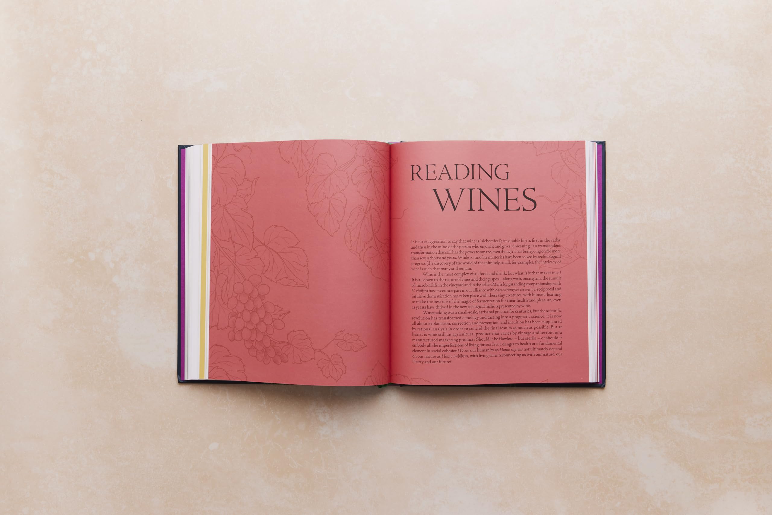 One Thousand Vines: A New Way to Understand Wine