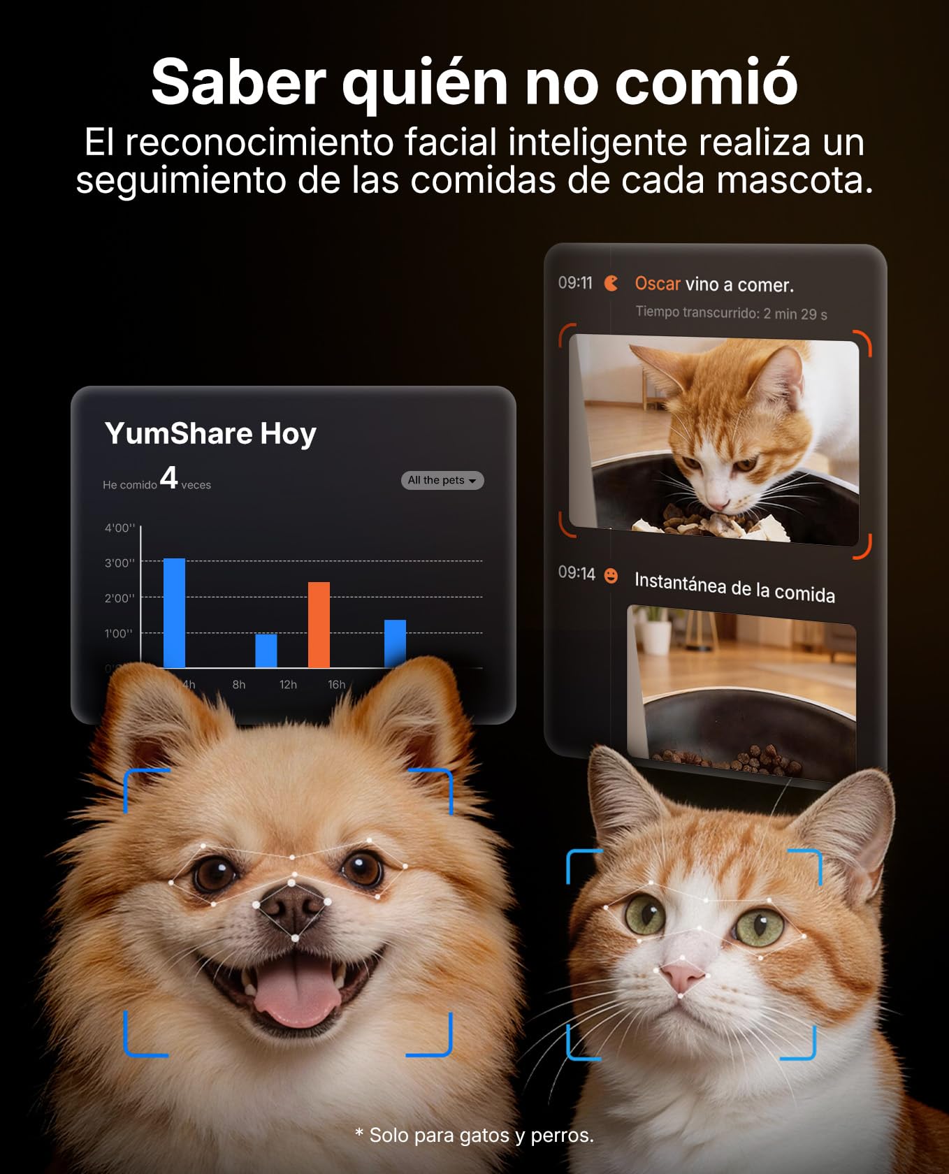 PETKIT Nuevo Comedero Gato Automatico con Cámara, Reconocimiento de Varios Gatos, 2.4G & 5GHz WiFi, 3L Dispensador Comida Gatos/Perros, 1080P HD, Función AI, App Control, Cuenco de Acero Inoxidable