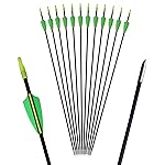 GPP 12PK 28 Fiberglass Archery Target Arrows - Practice Arrow or Youth Arrow for Recurve Bow,Green & Yellow Vanes