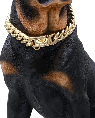 BAOBOTE Collar de cadena dorada para perro, collar de cadena de metal para caminar con diseño de hebilla segura, collar de entrenamiento de cadena