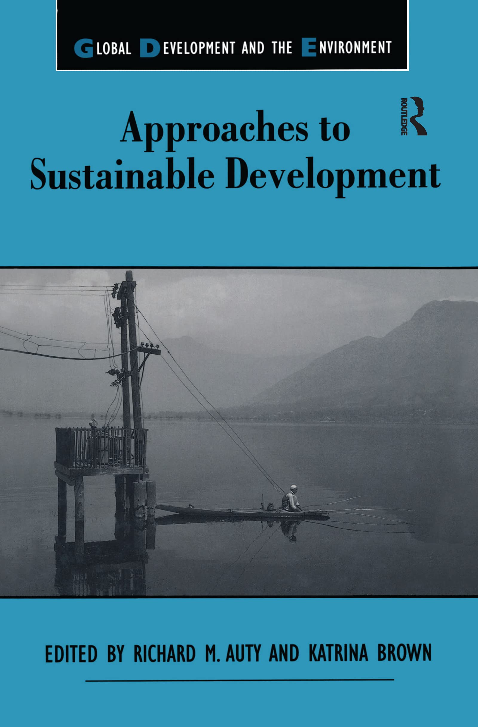 Buy Approaches to Sustainable Development (Global Development and the Environment) — BookShops.in
