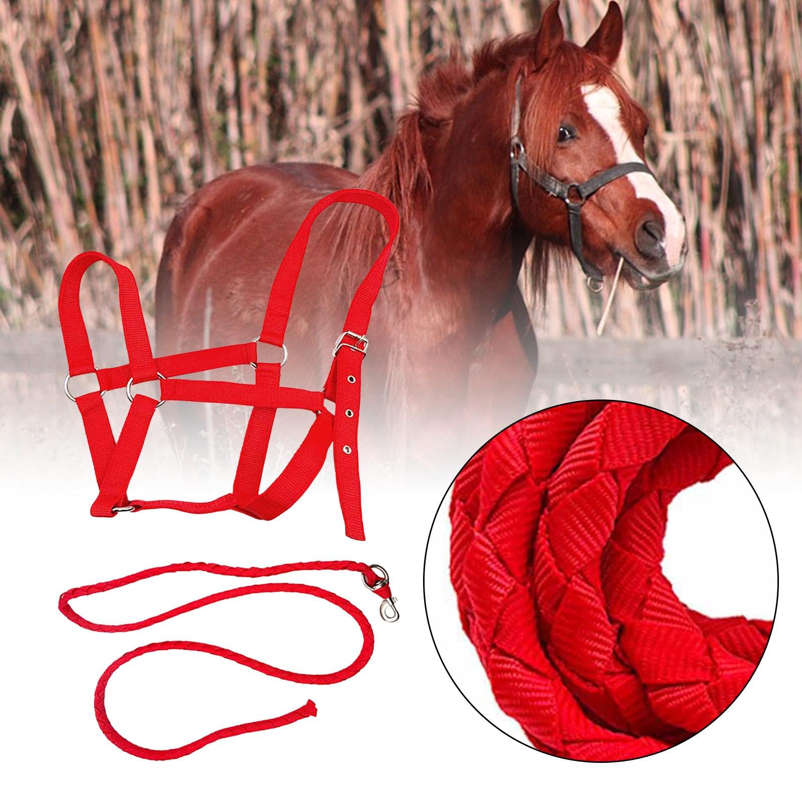 Cavezza per Cavallo con Corda, Cavezza Regolabile in Nylon, per Sport Equestri, Conduzione, Addestramento, Toelettatura, Viaggi, Proprietari, Uso Este