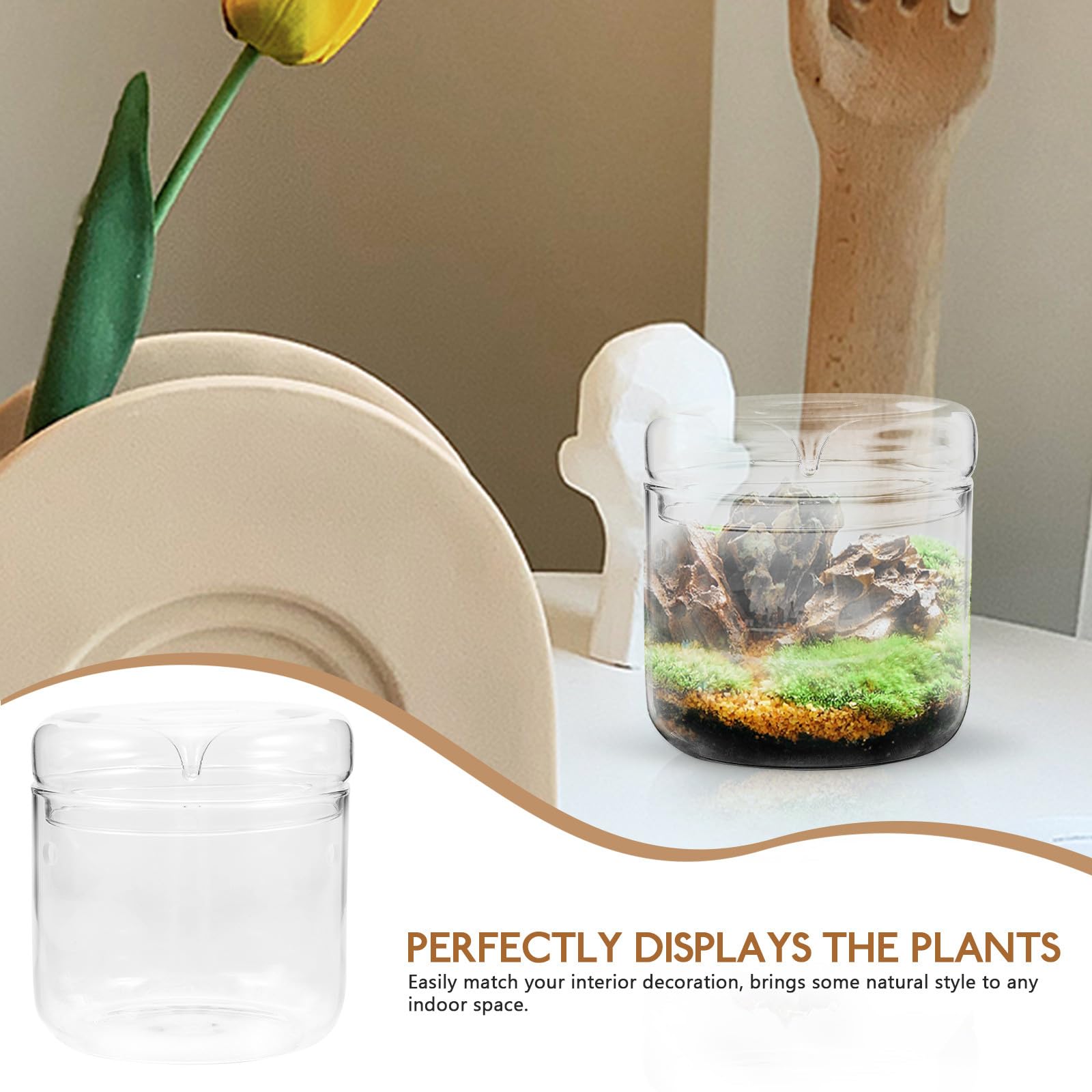 Angoily Terrario Ecosistemico in Vetro Trasparente 12x12 Cm, Bottiglia di Piante Miniatura Fai da Te, Decorazione Naturale per Ufficio e Casa